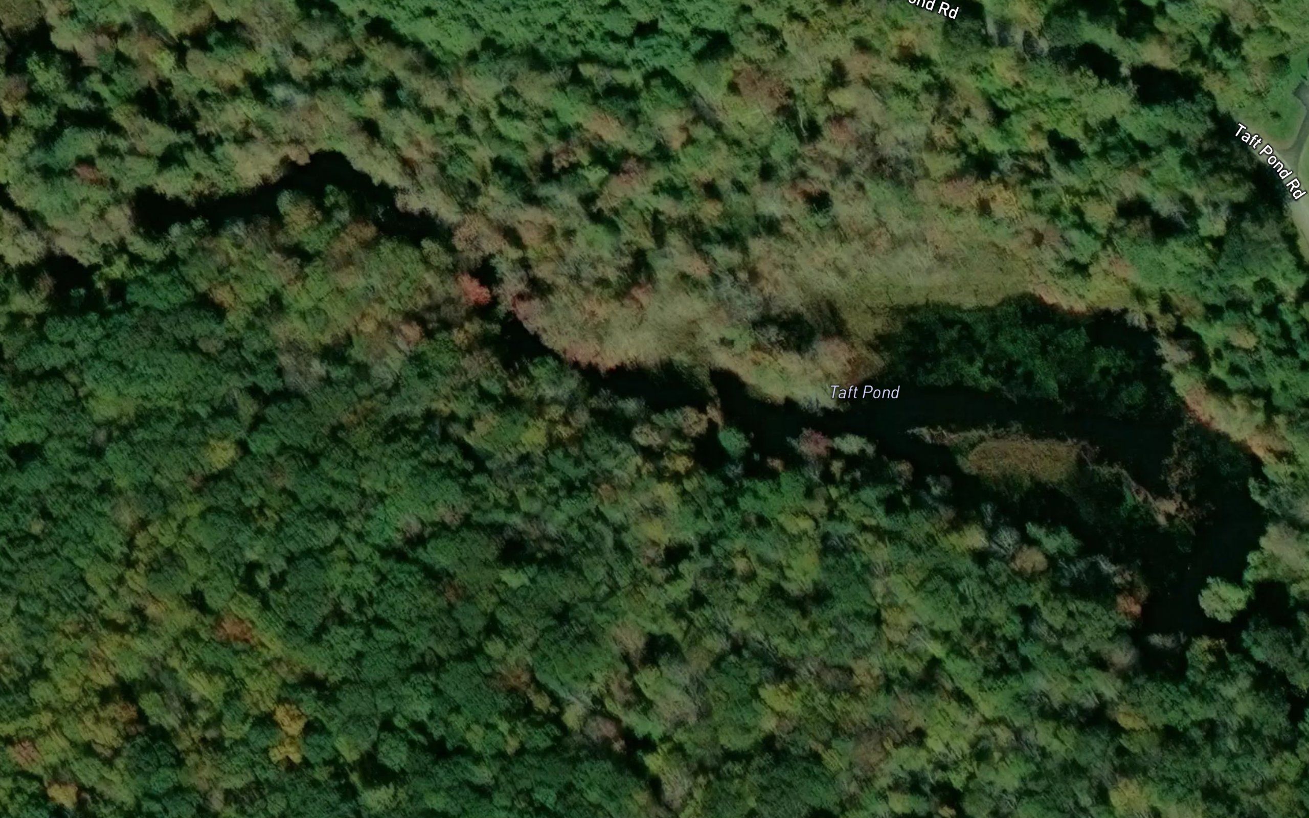 Taft Pond