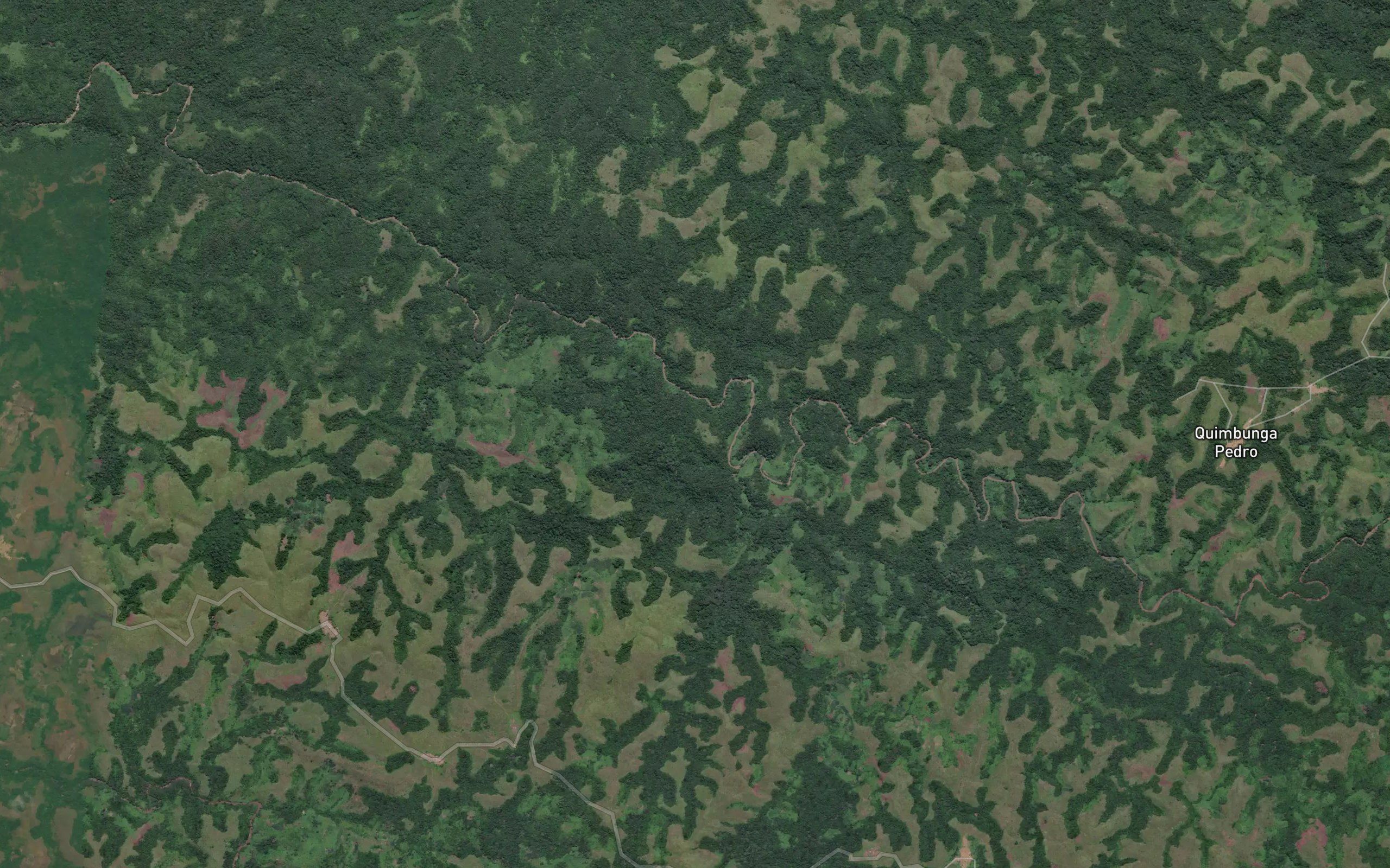 Tadi