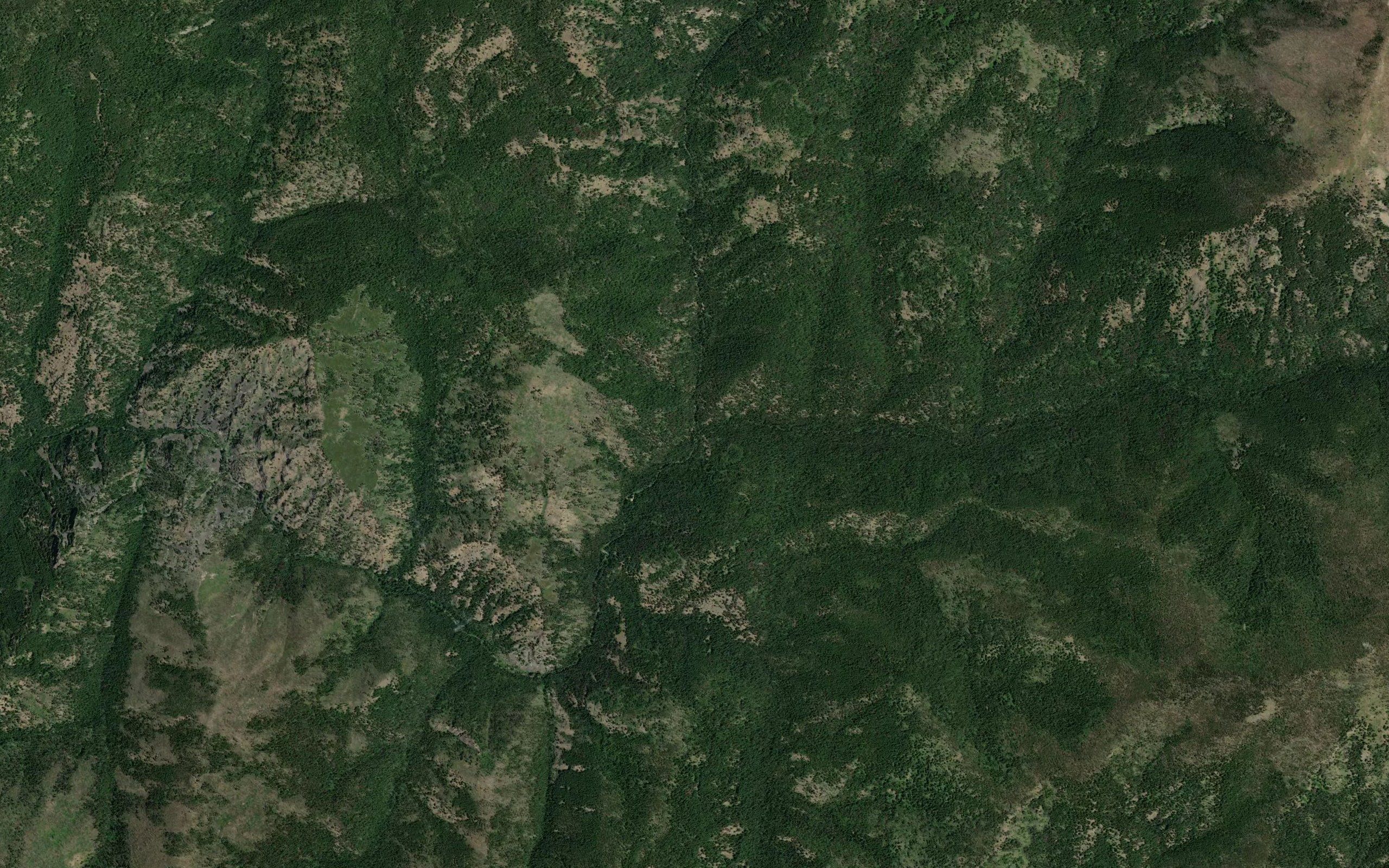 Schofield Creek