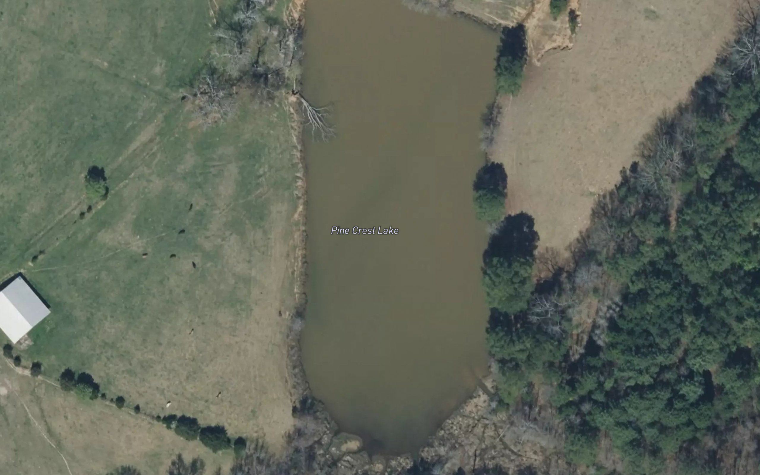Pine Crest Lake