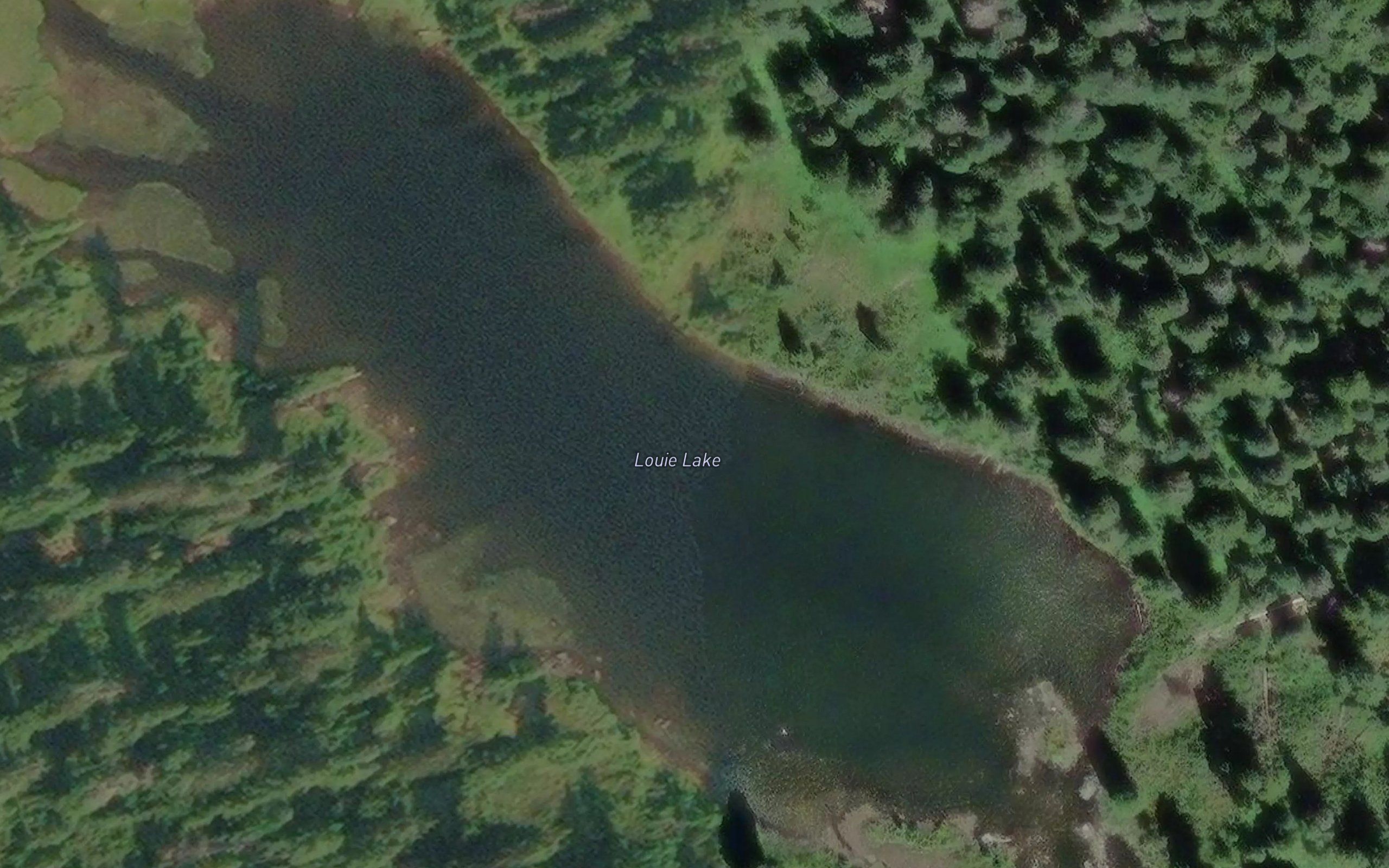 Louie Lake