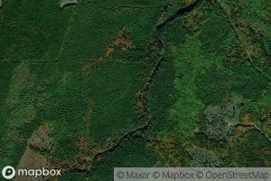 Meadow Brook