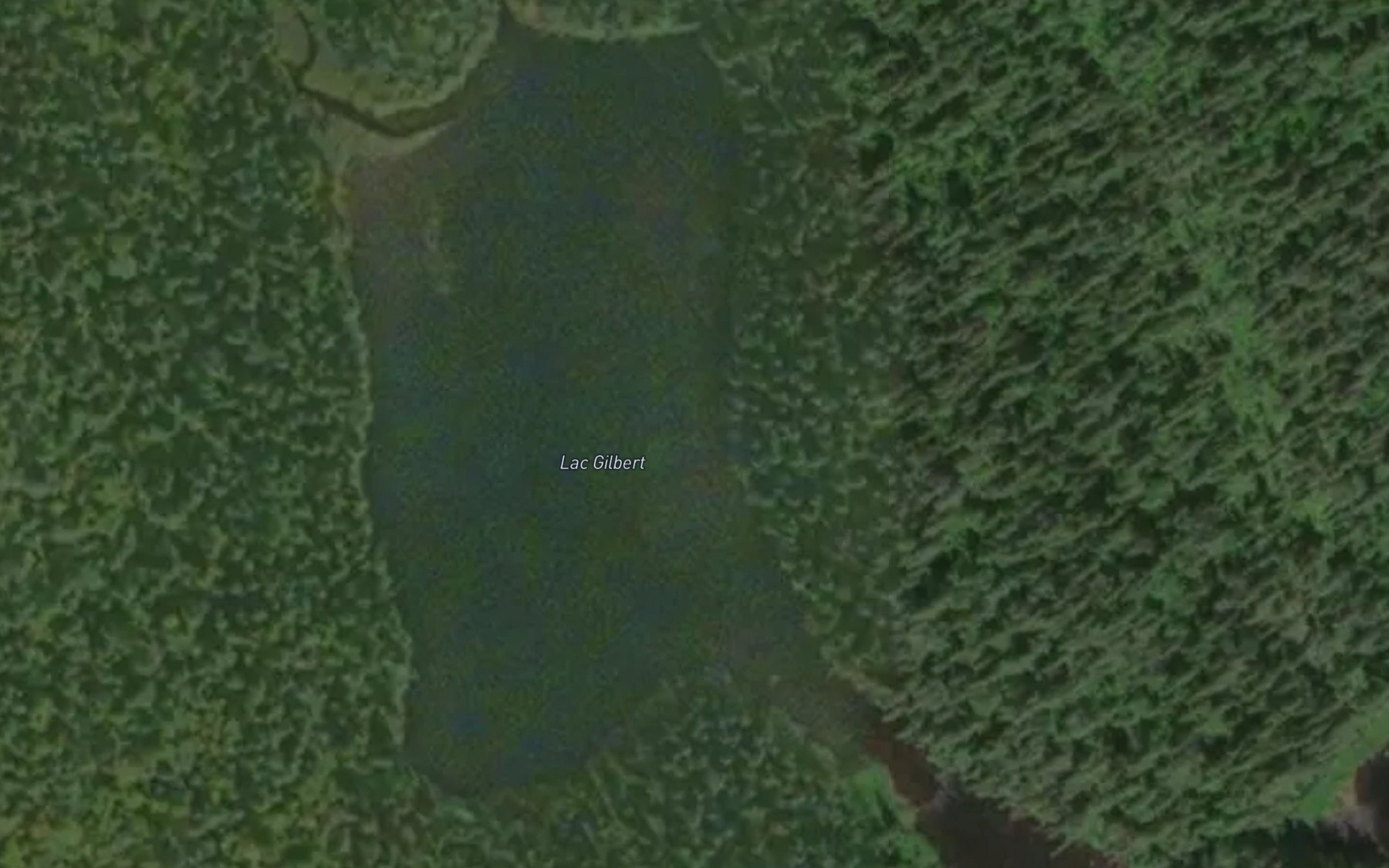 Satellite map of the Lac des Gemeaux
