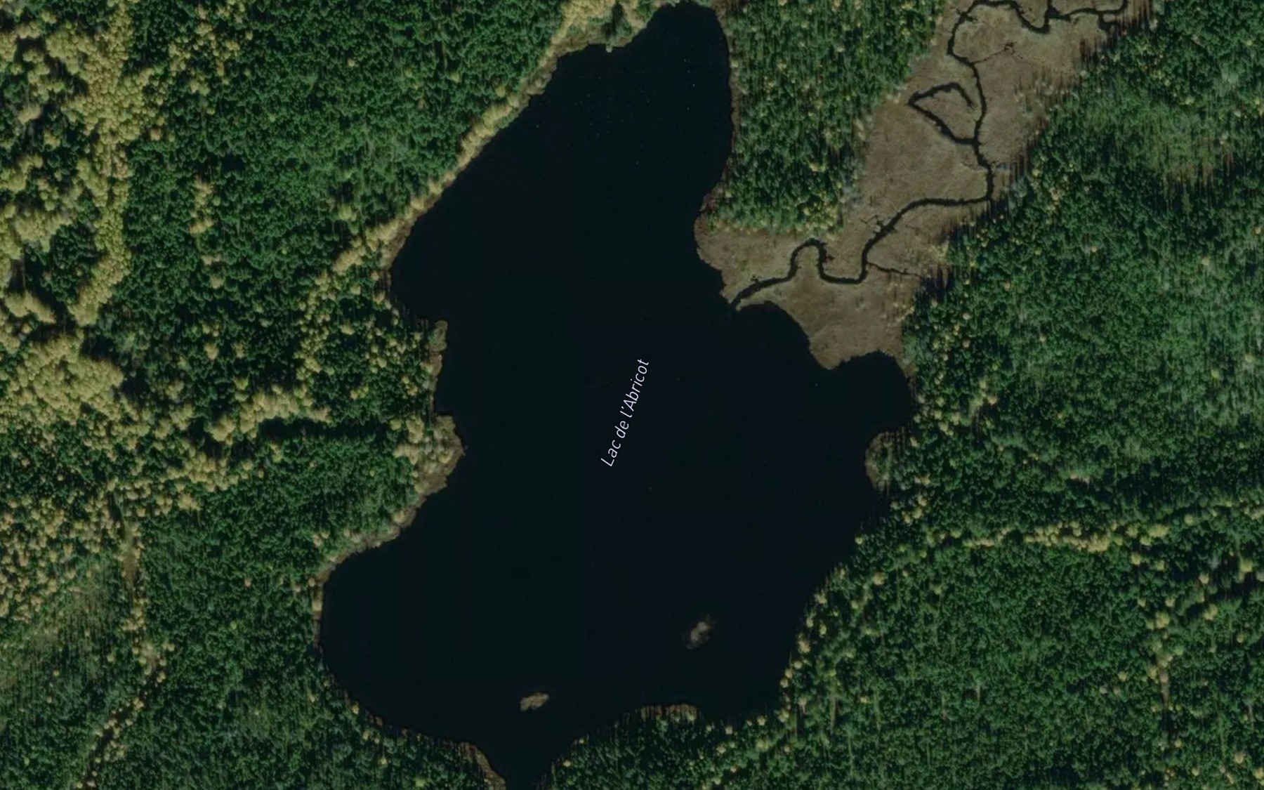 Satellite map of the Lac de l'Abricot