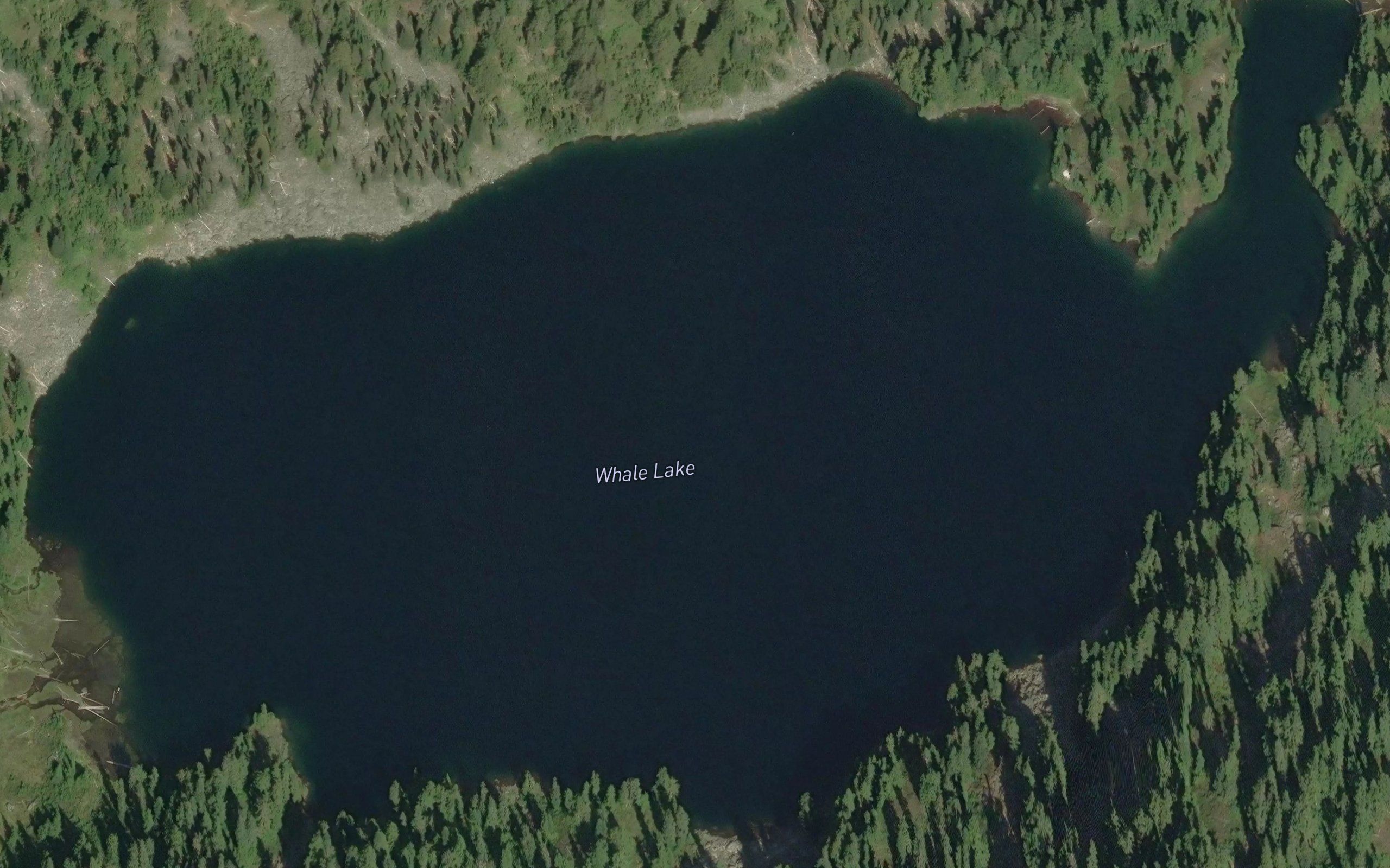 Whale Lake