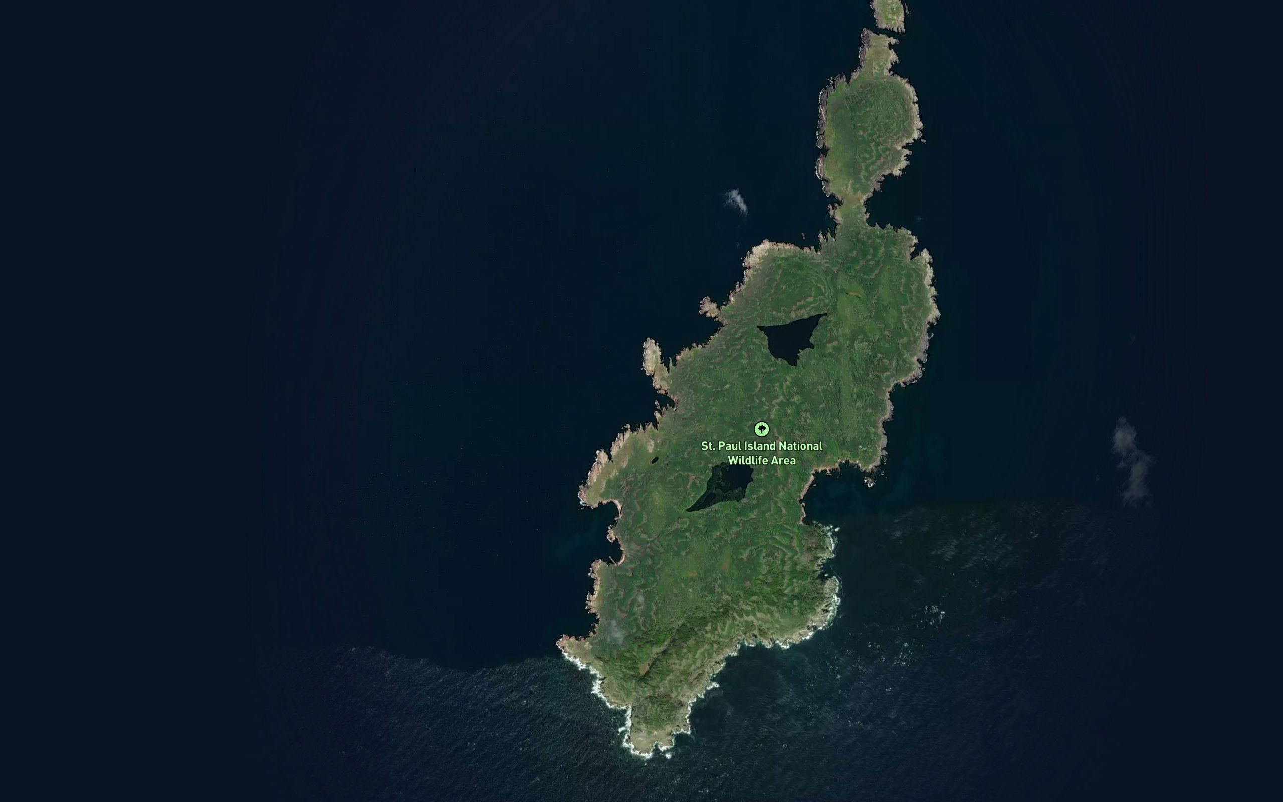 Petries Cove