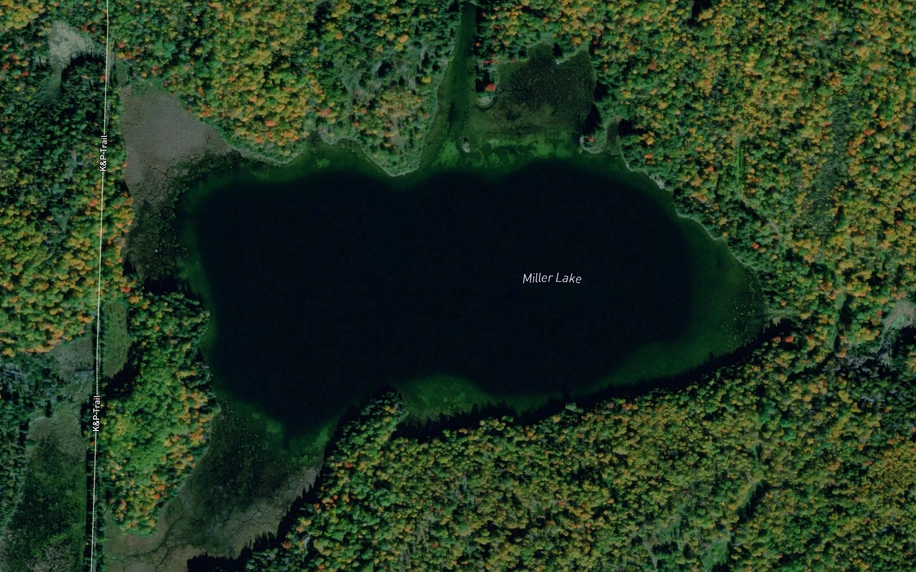 Satellite map of the Miller Lake