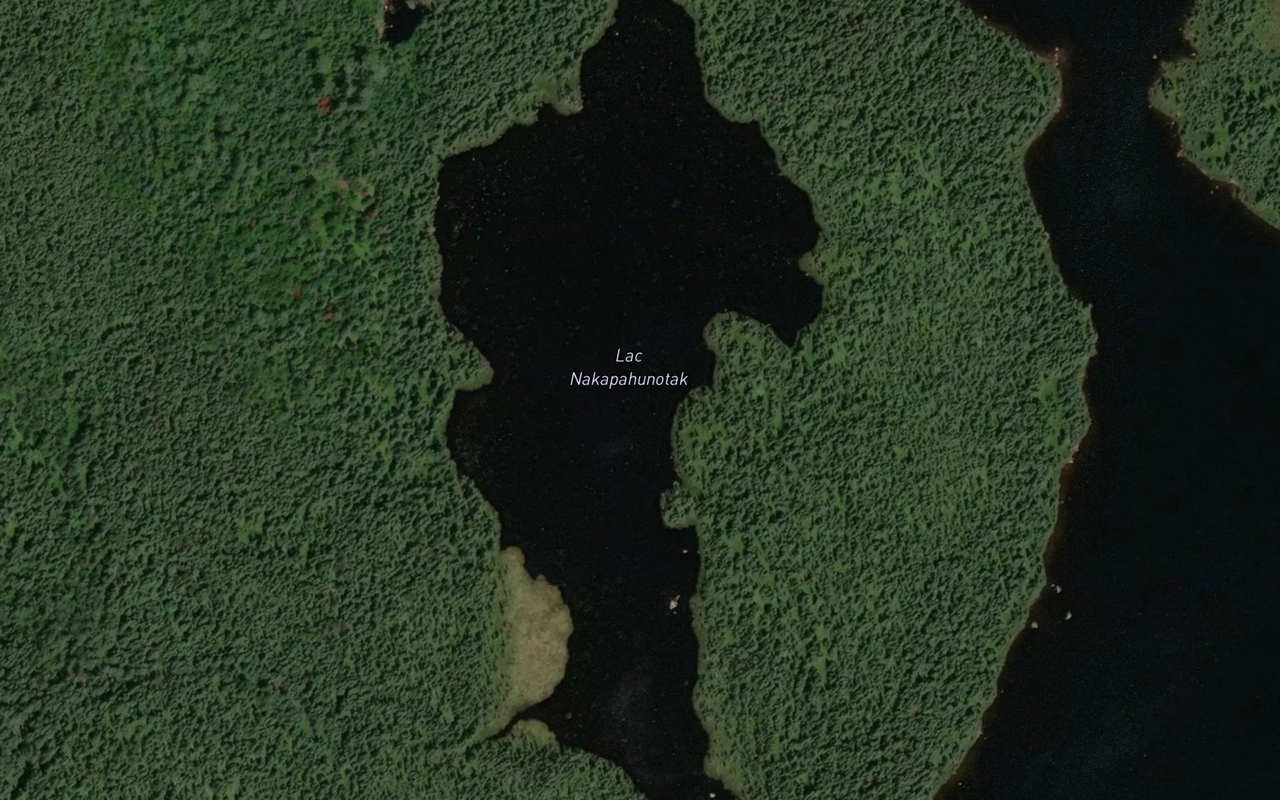 Satellite map of the Lac Nakapahunotak