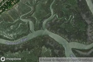 Tom Creek