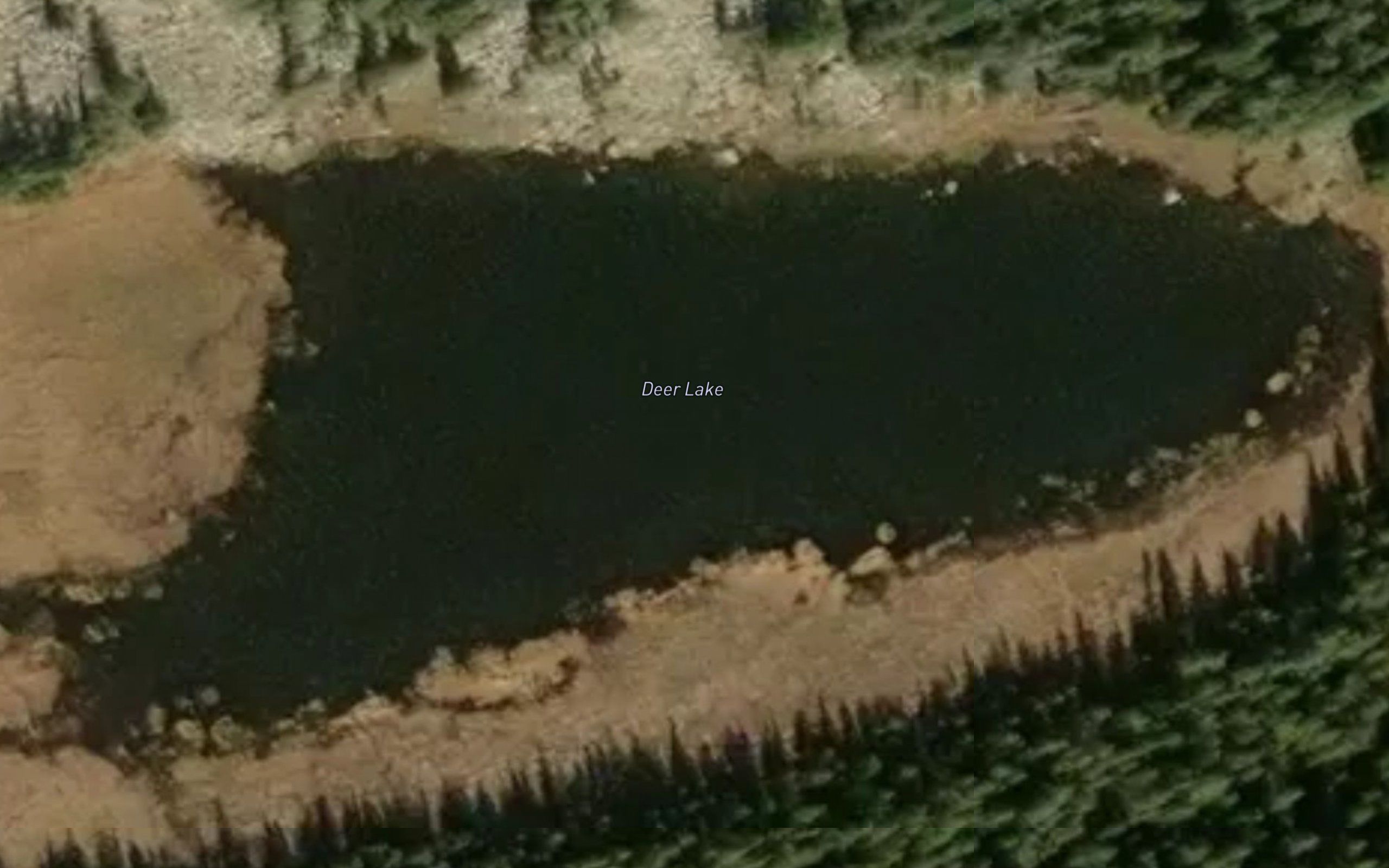 Deer Lake