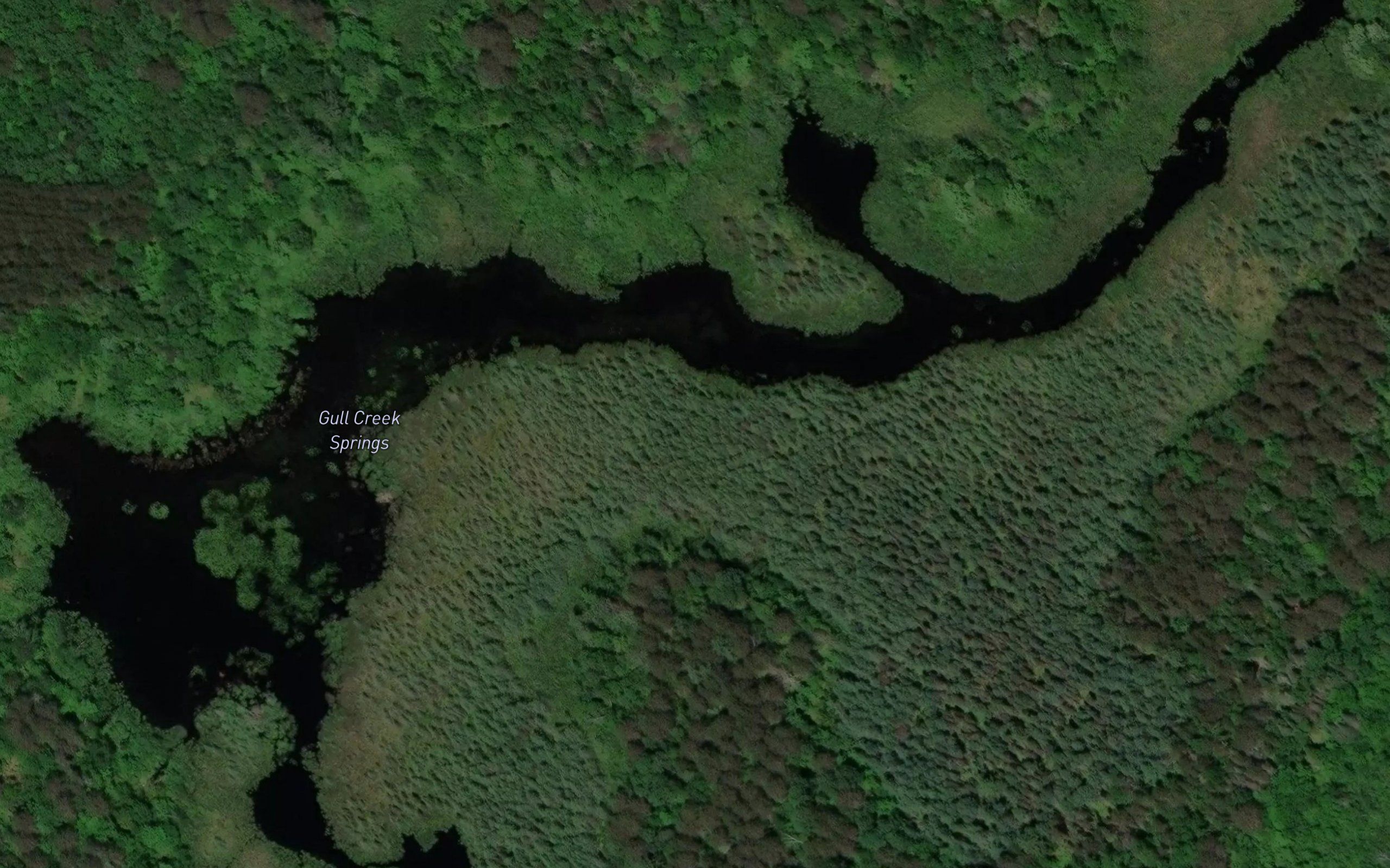 Gull Creek Springs