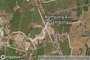 Alor Senibong