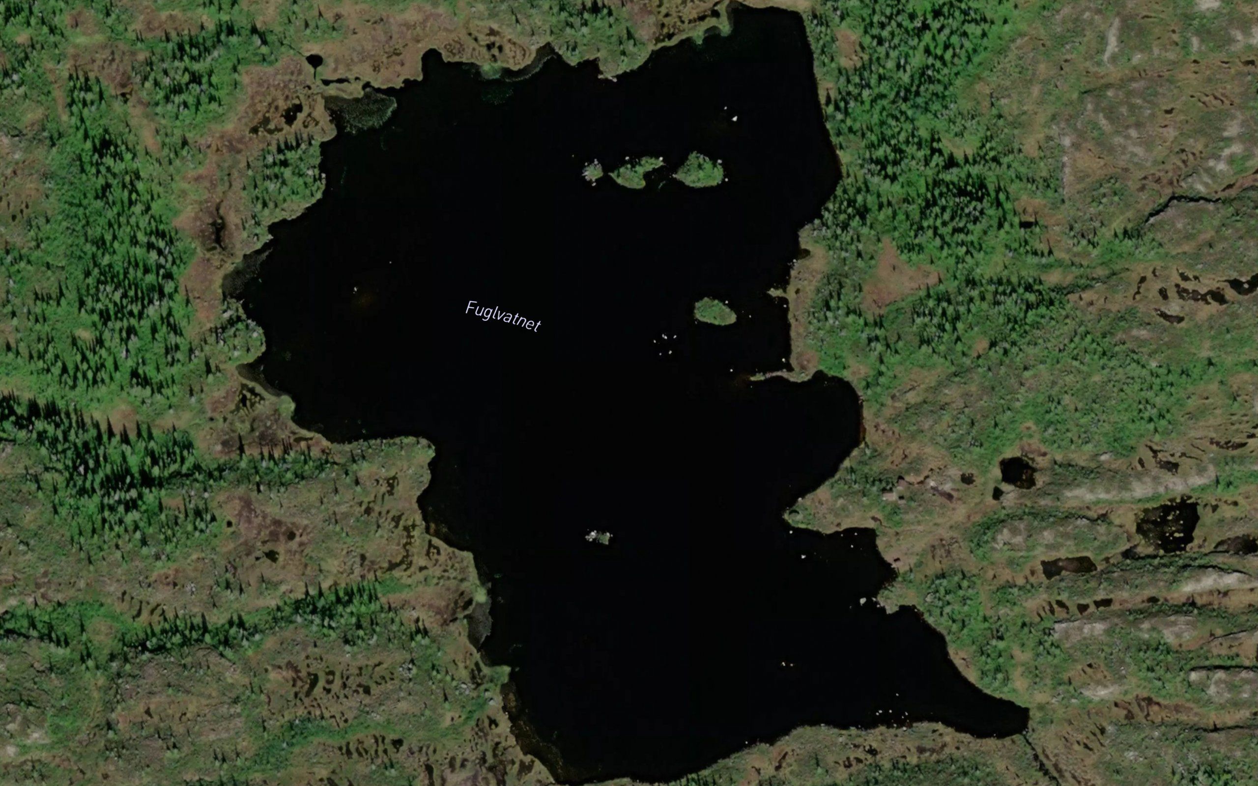 Fuglevatnet