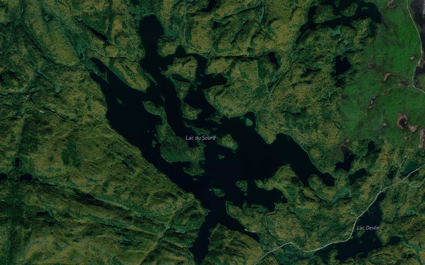 Satellite map of the Lac du Sourd