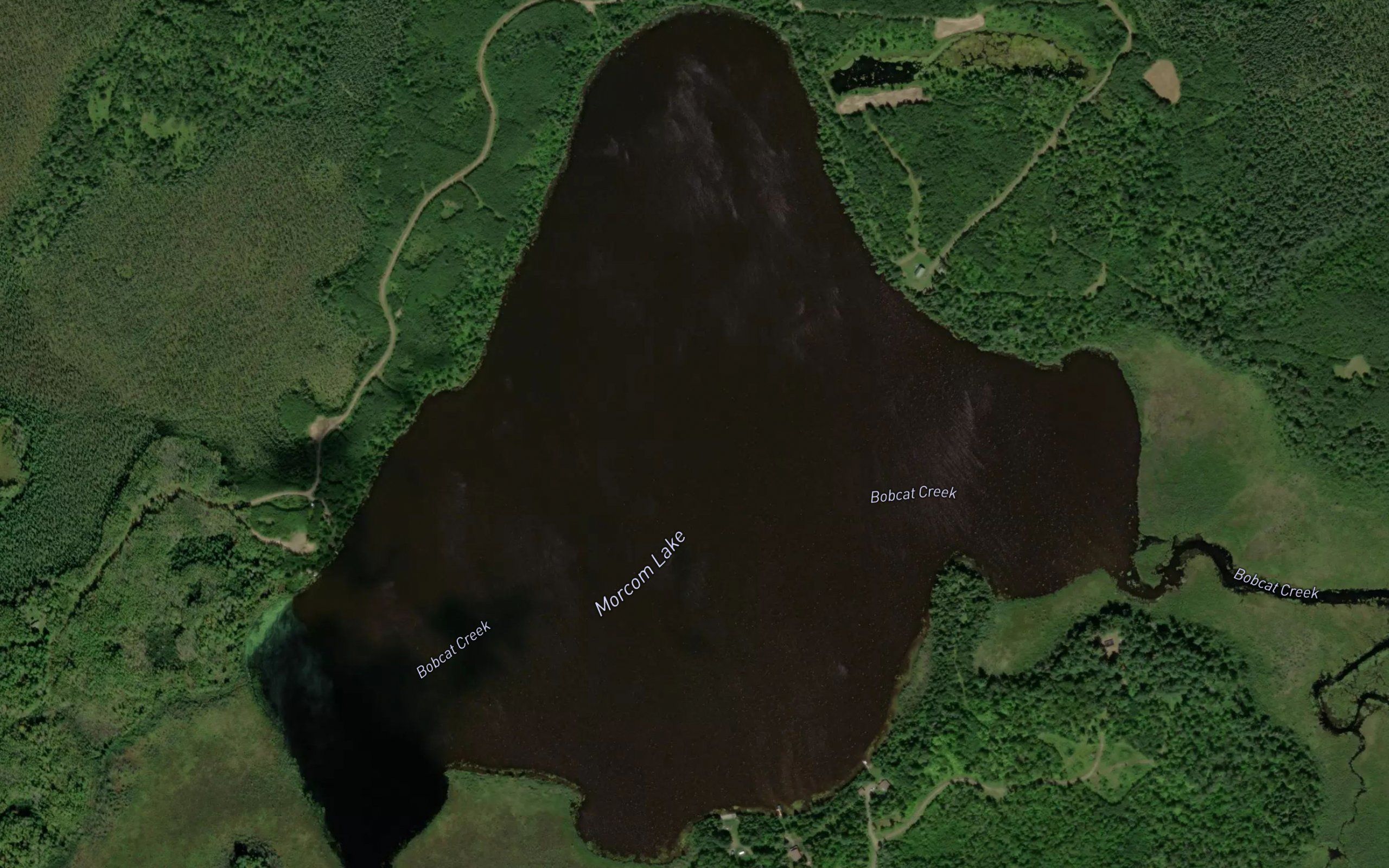 Morcom Lake