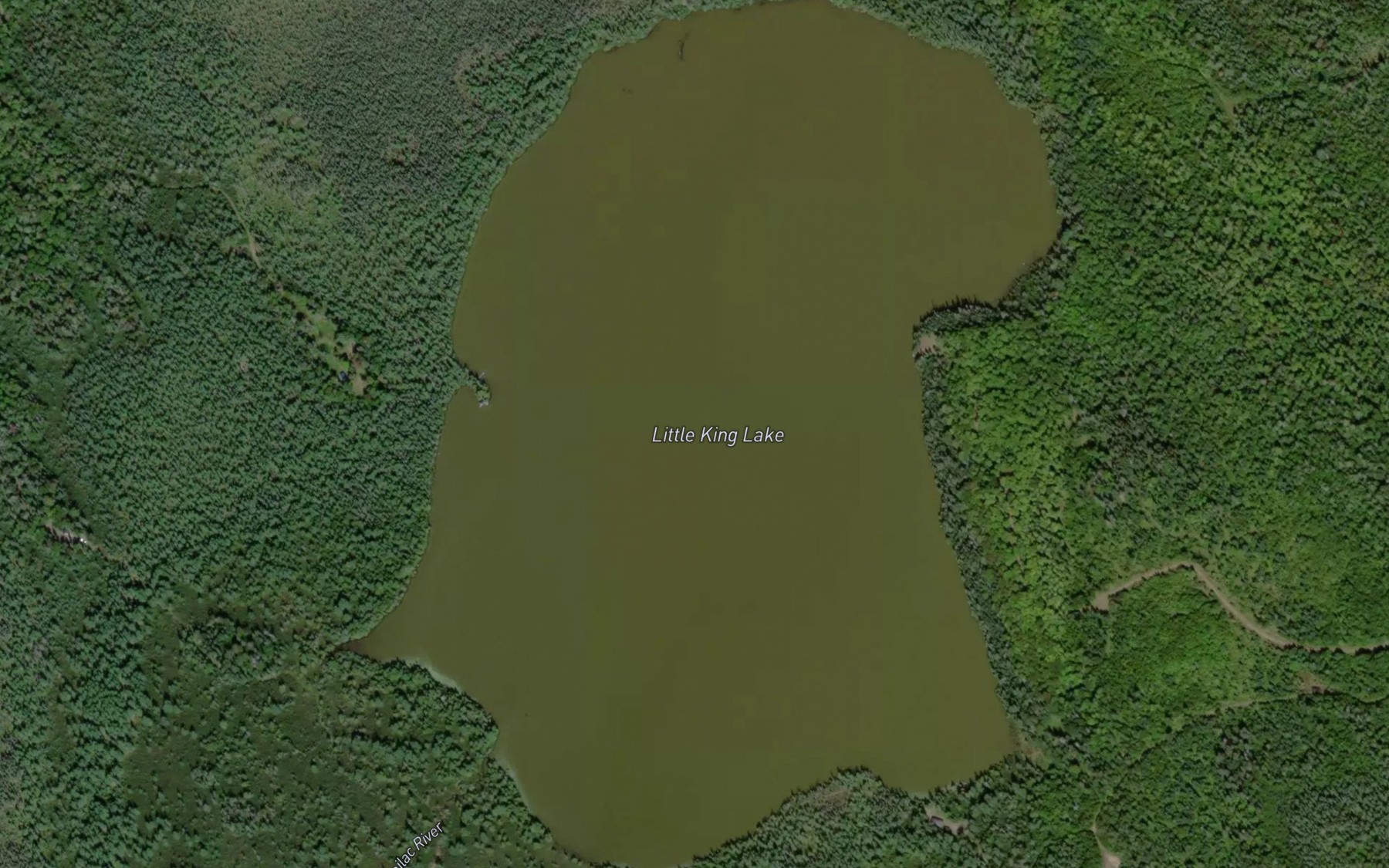 Satellite map of the Little King Lake