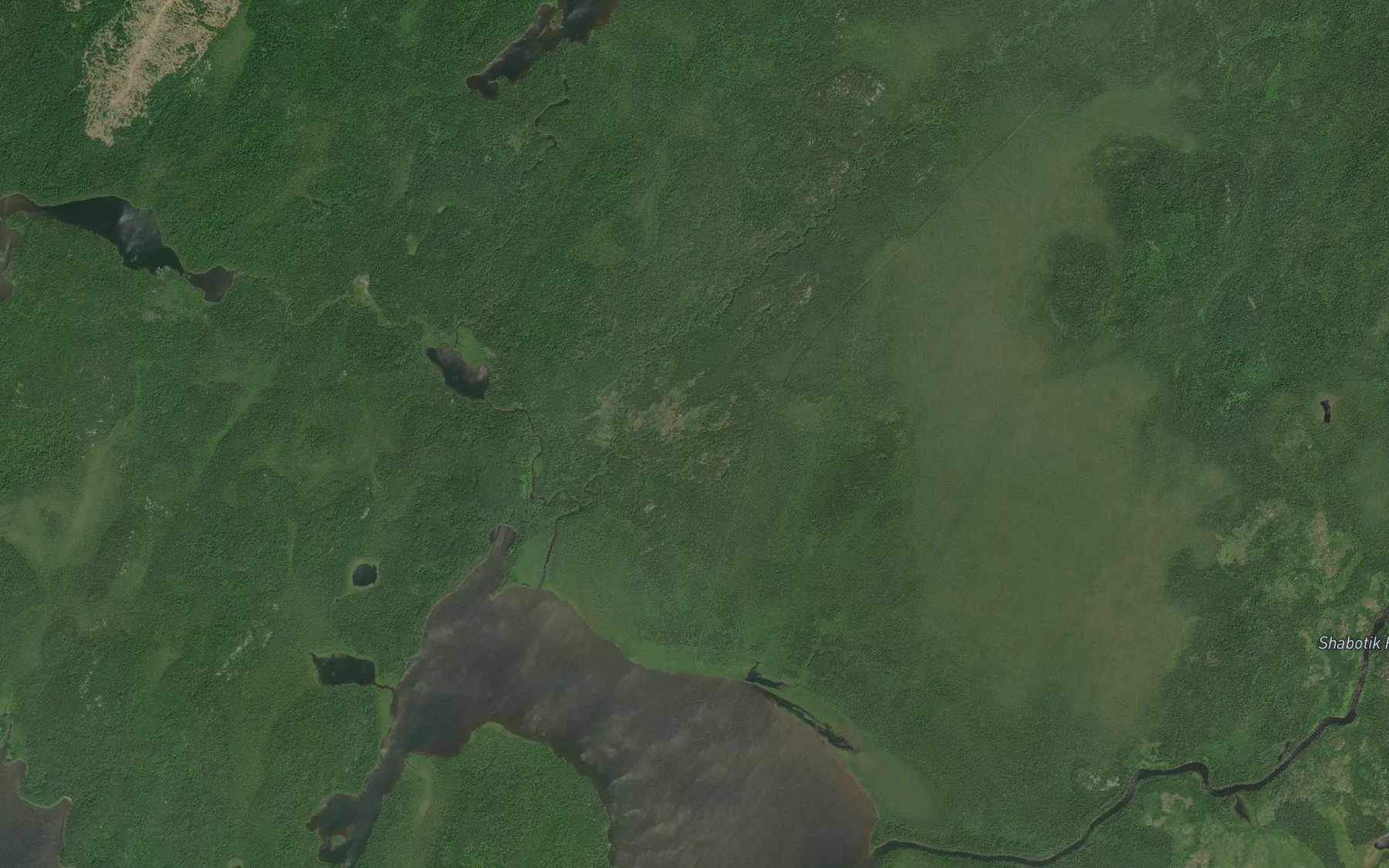 Satellite map of the Pickle Creek