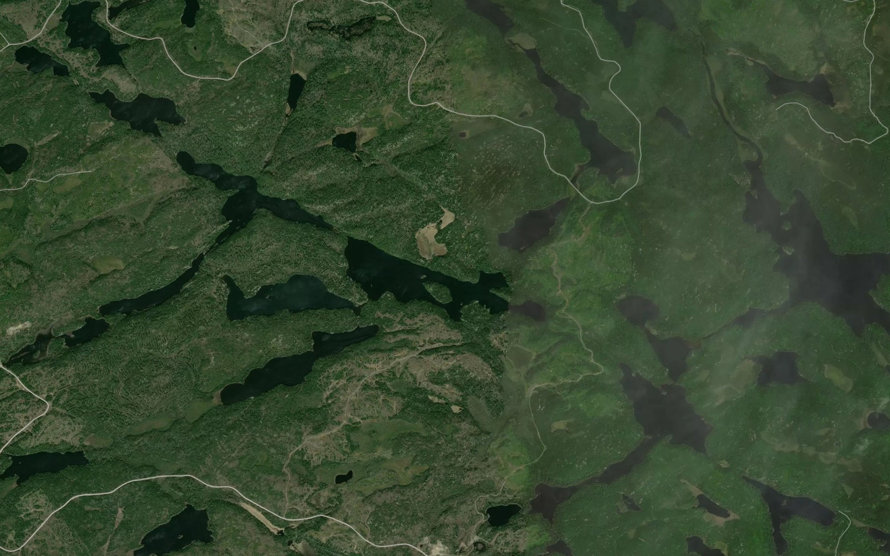 Satellite map of the Forrest Lake