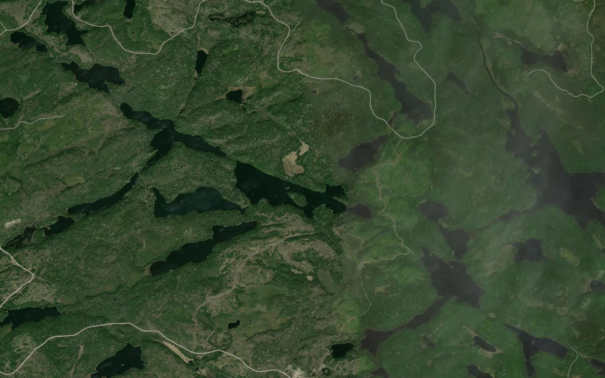 Forrest Lake