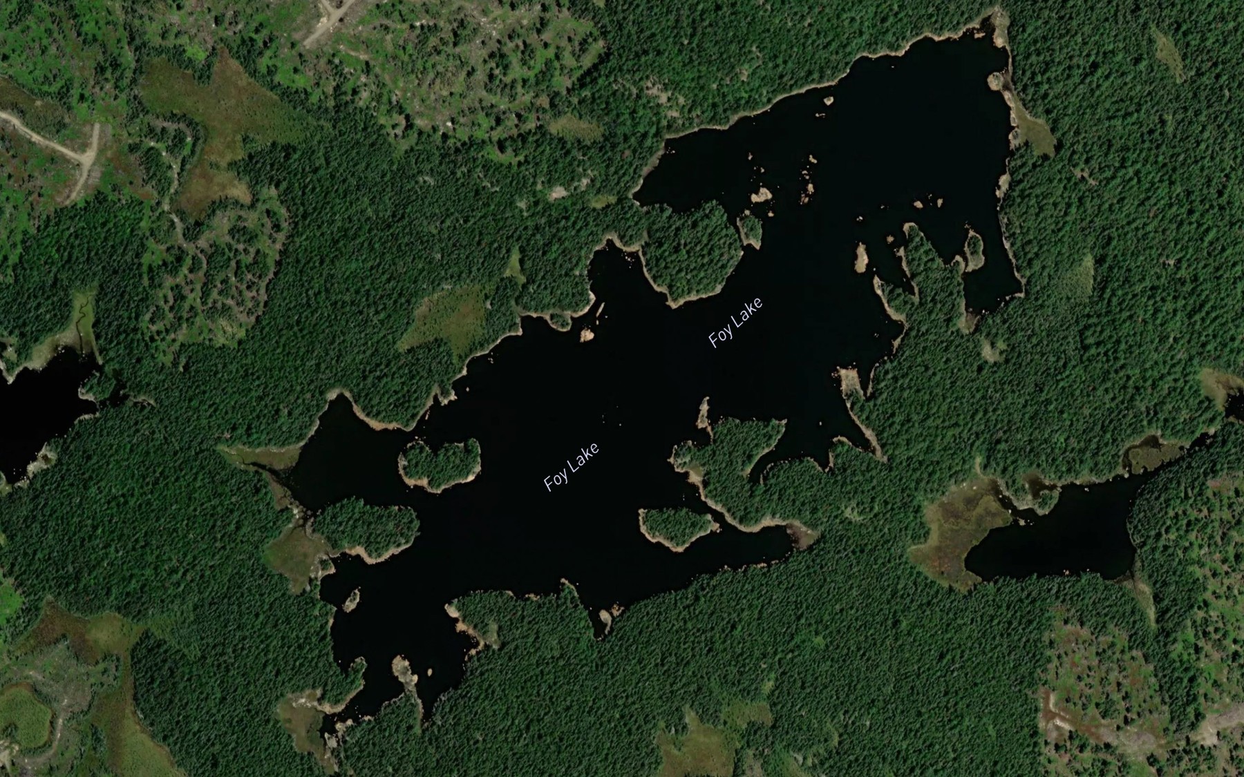 Satellite map of the Foy Lake