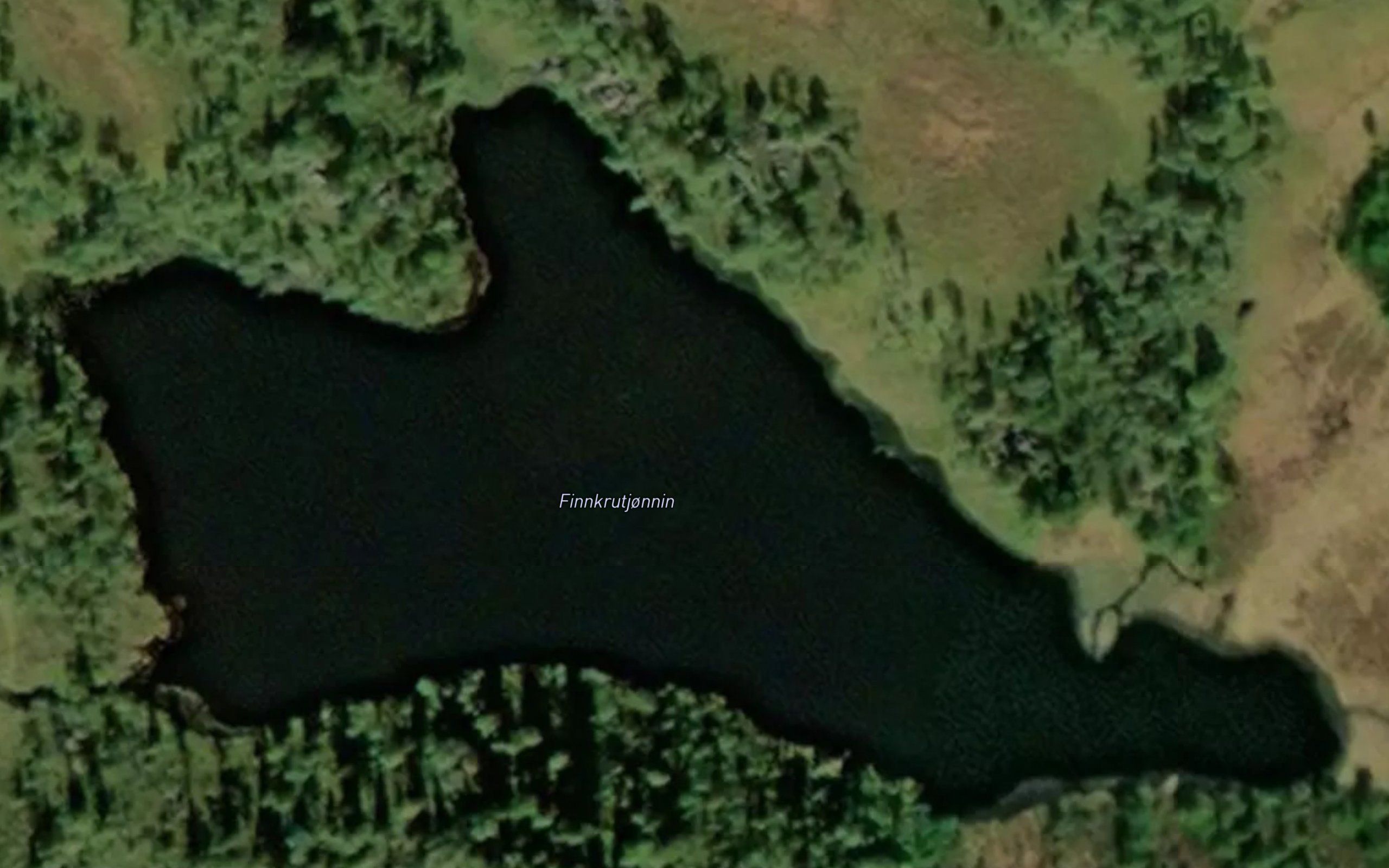 Finnkrutjornin