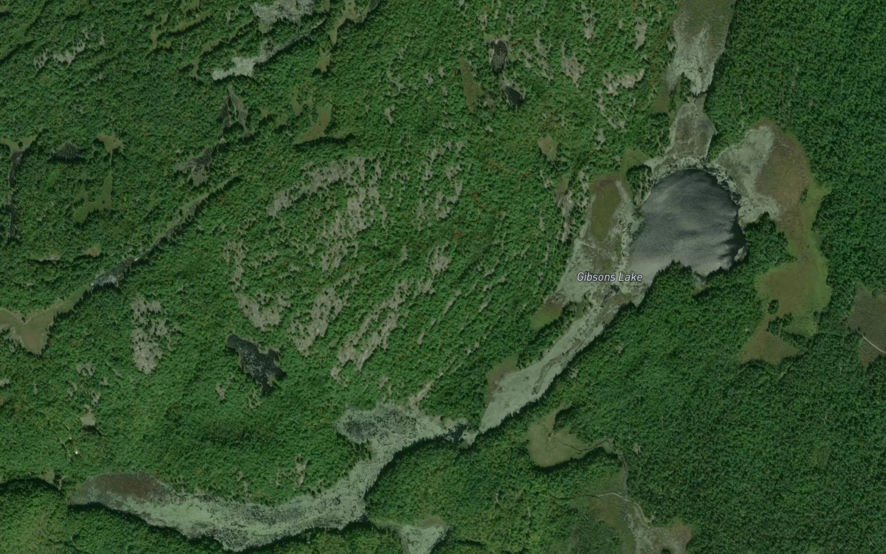 Satellite map of the Gibsons Lake