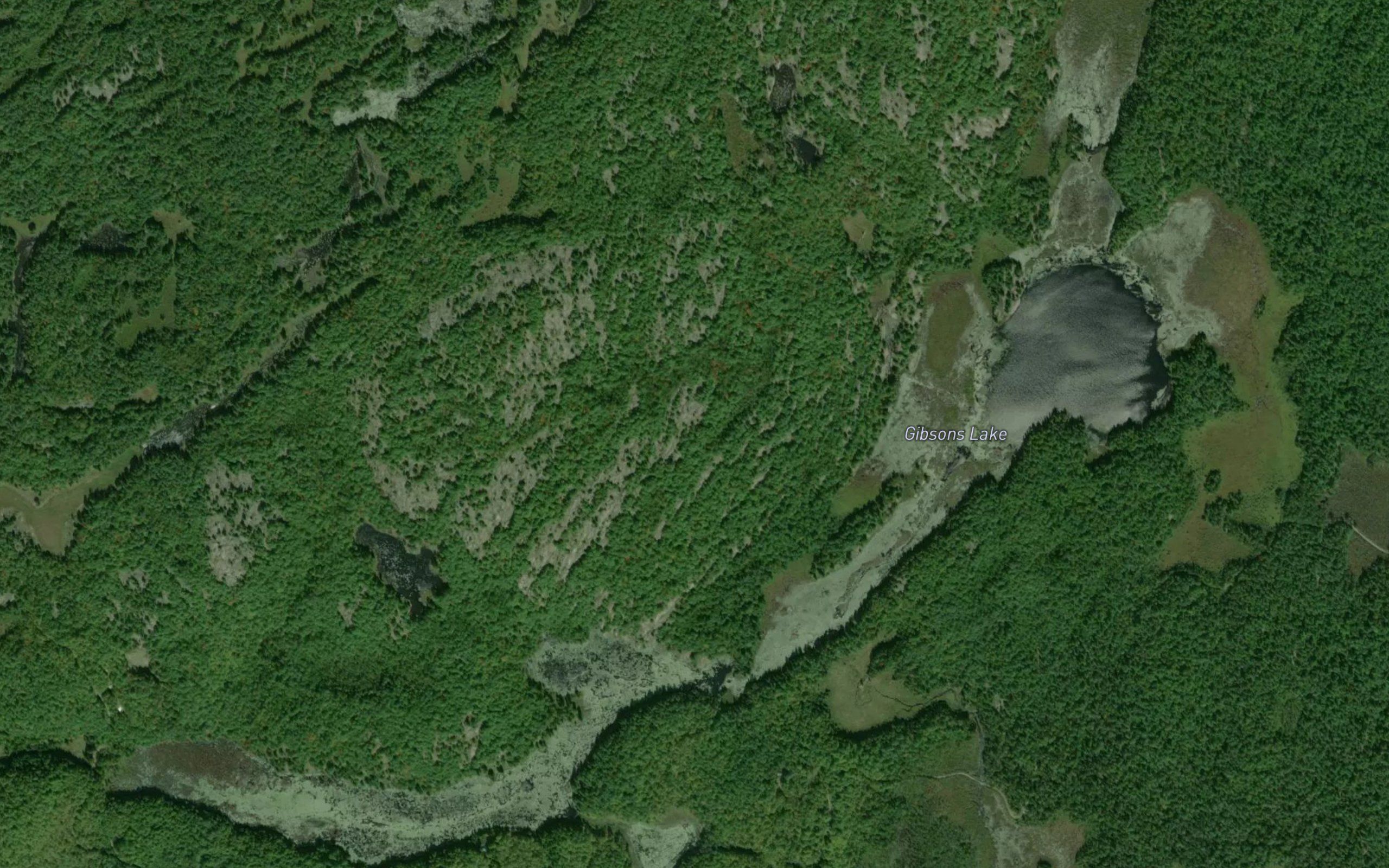 Gibsons Lake
