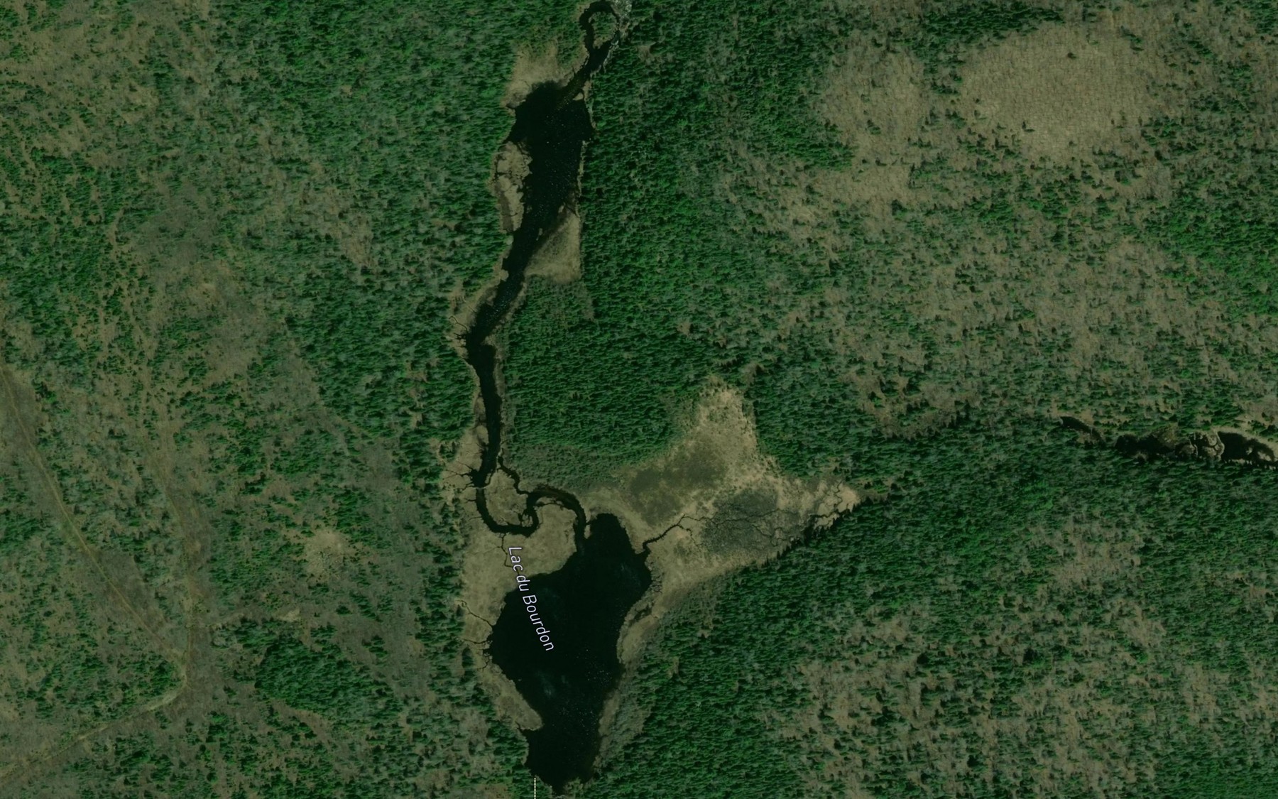 Satellite map of the Lac du Bourdon