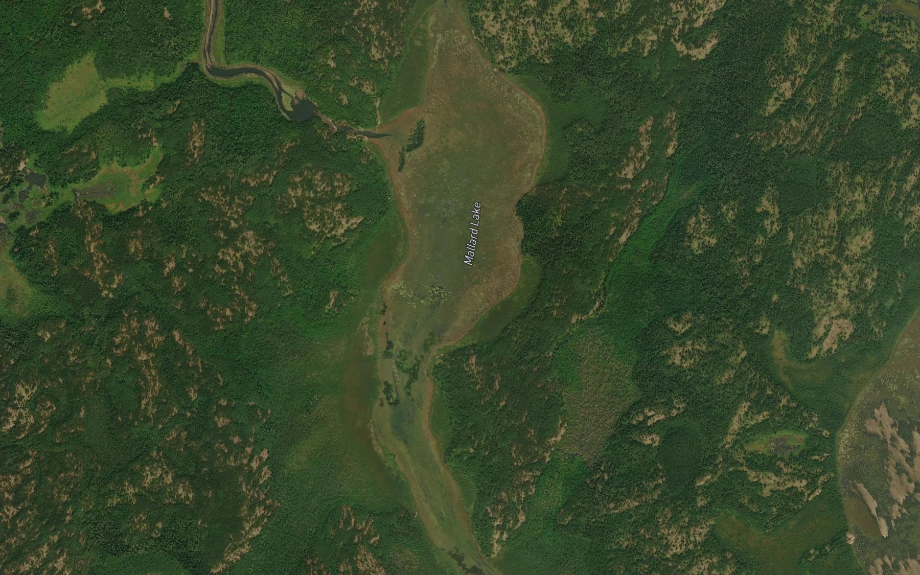 Satellite map of the Mallard Lake