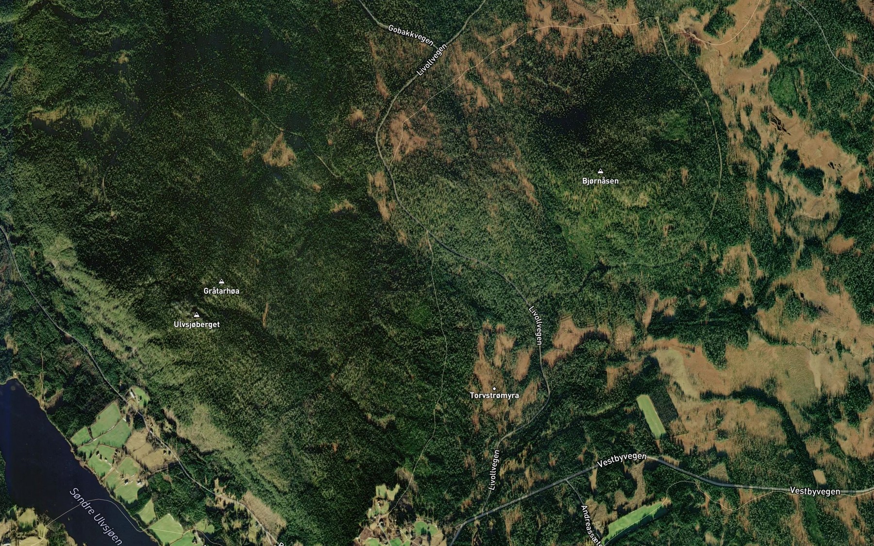Satellite map of the Vesleasbekken