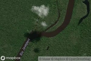 Igarape Manoel da Silva