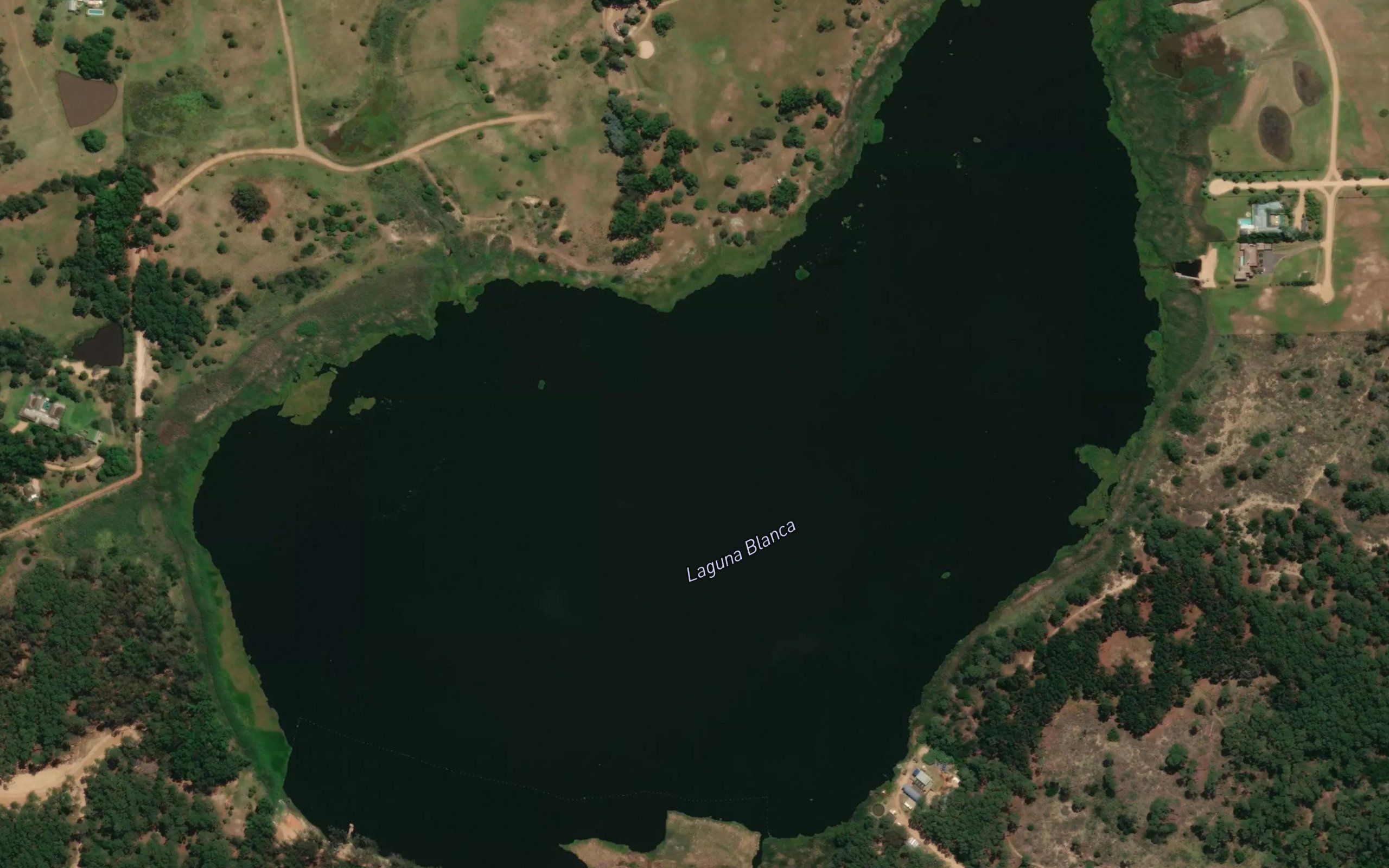 Laguna Blanca