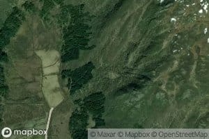 Ramselva