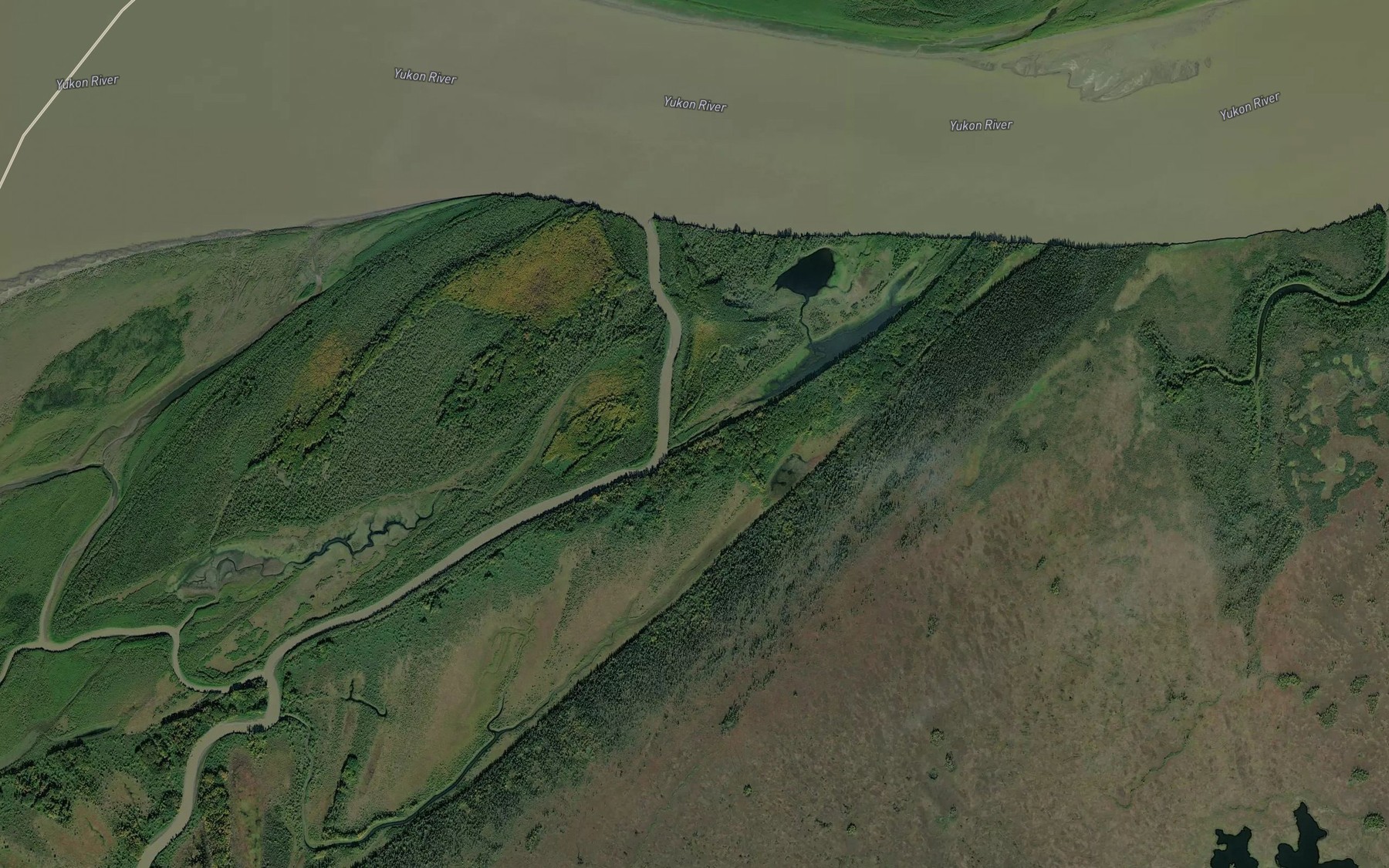 Satellite map of the Cottonwood Slough