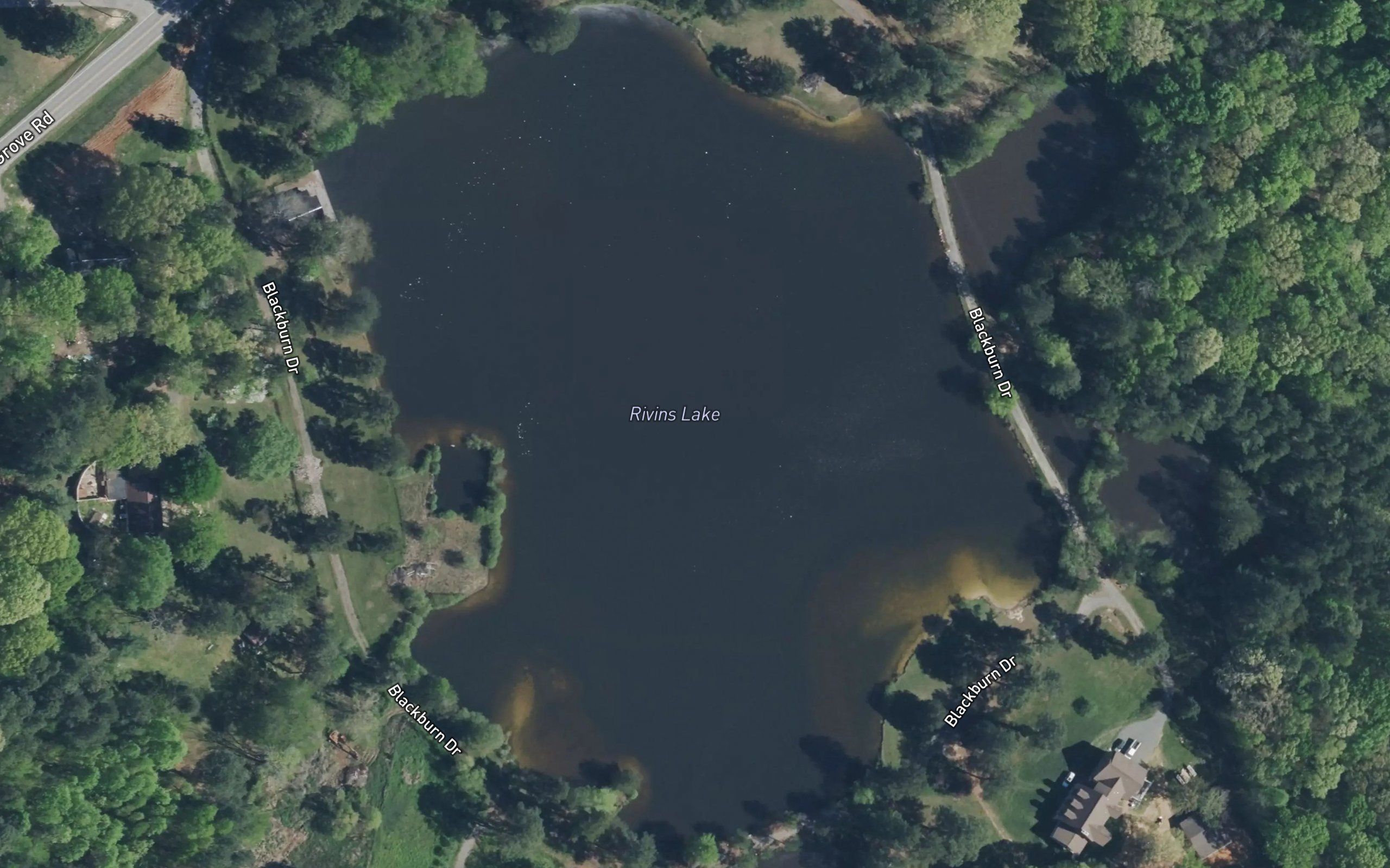 Rivins Lake