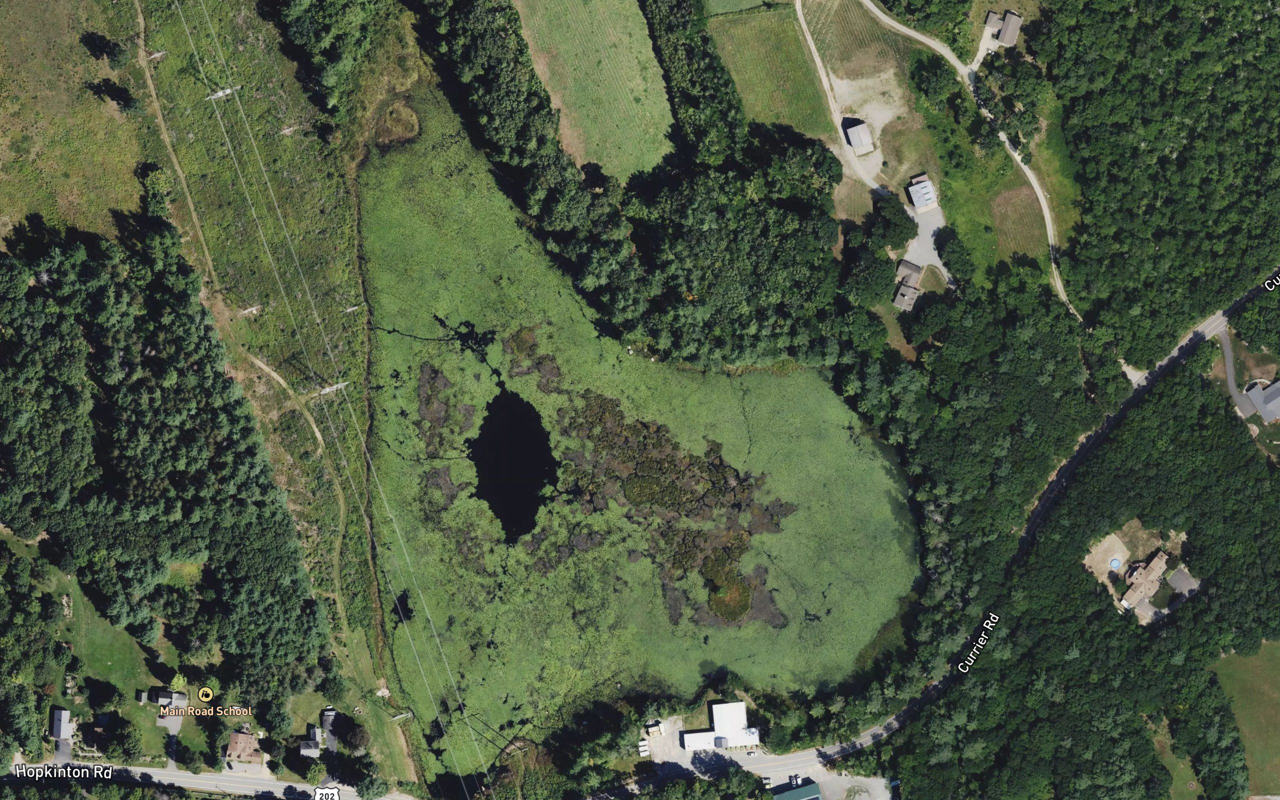 Whittier Pond