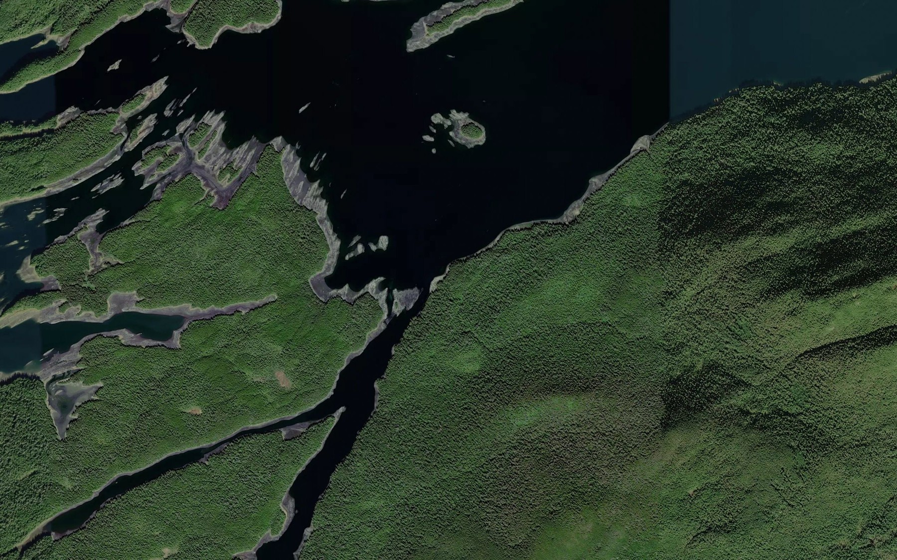 Satellite map of the Freshwater Creek