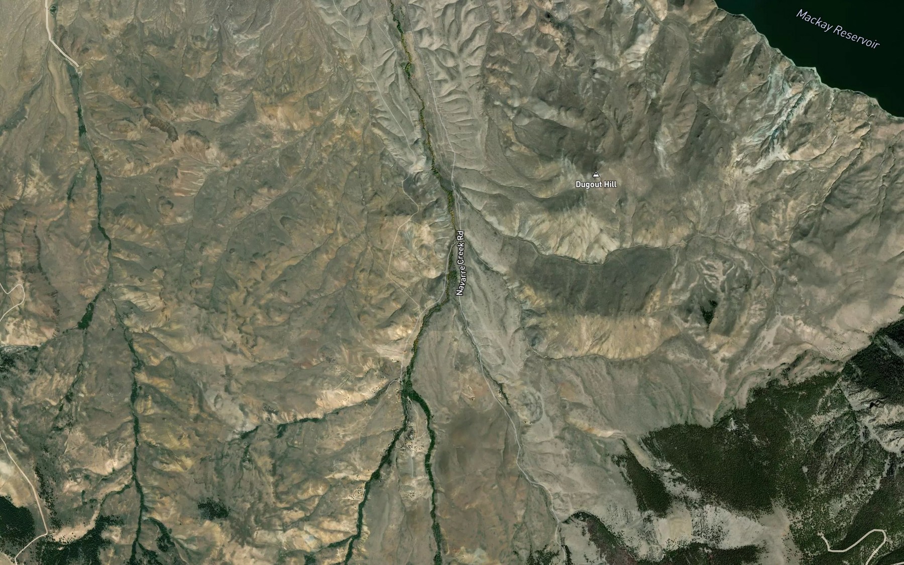 Satellite map of the East Fork Navarre Creek