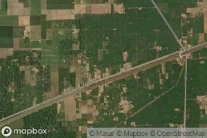 Kotli Bhutta Distributary