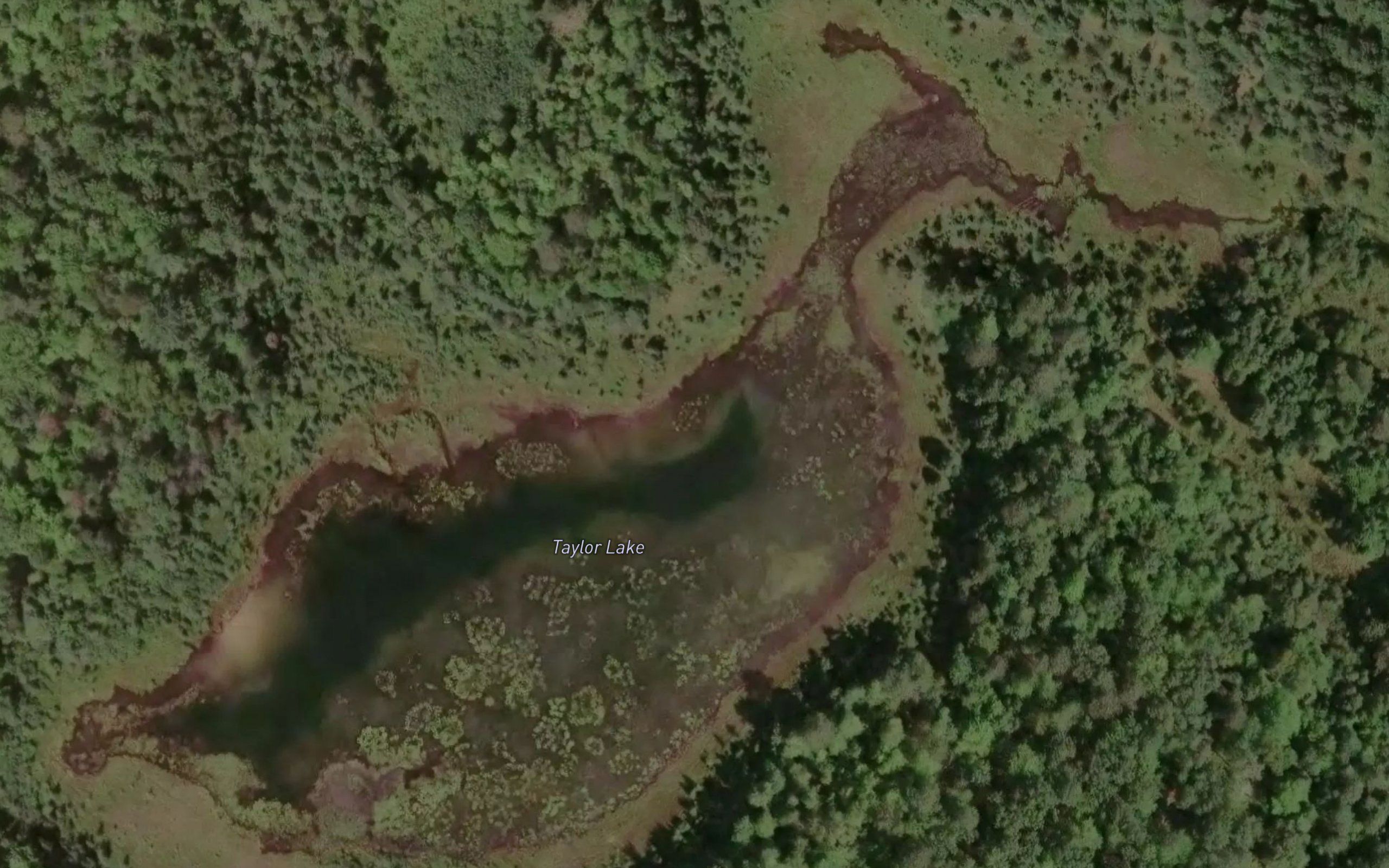 Taylor Lake