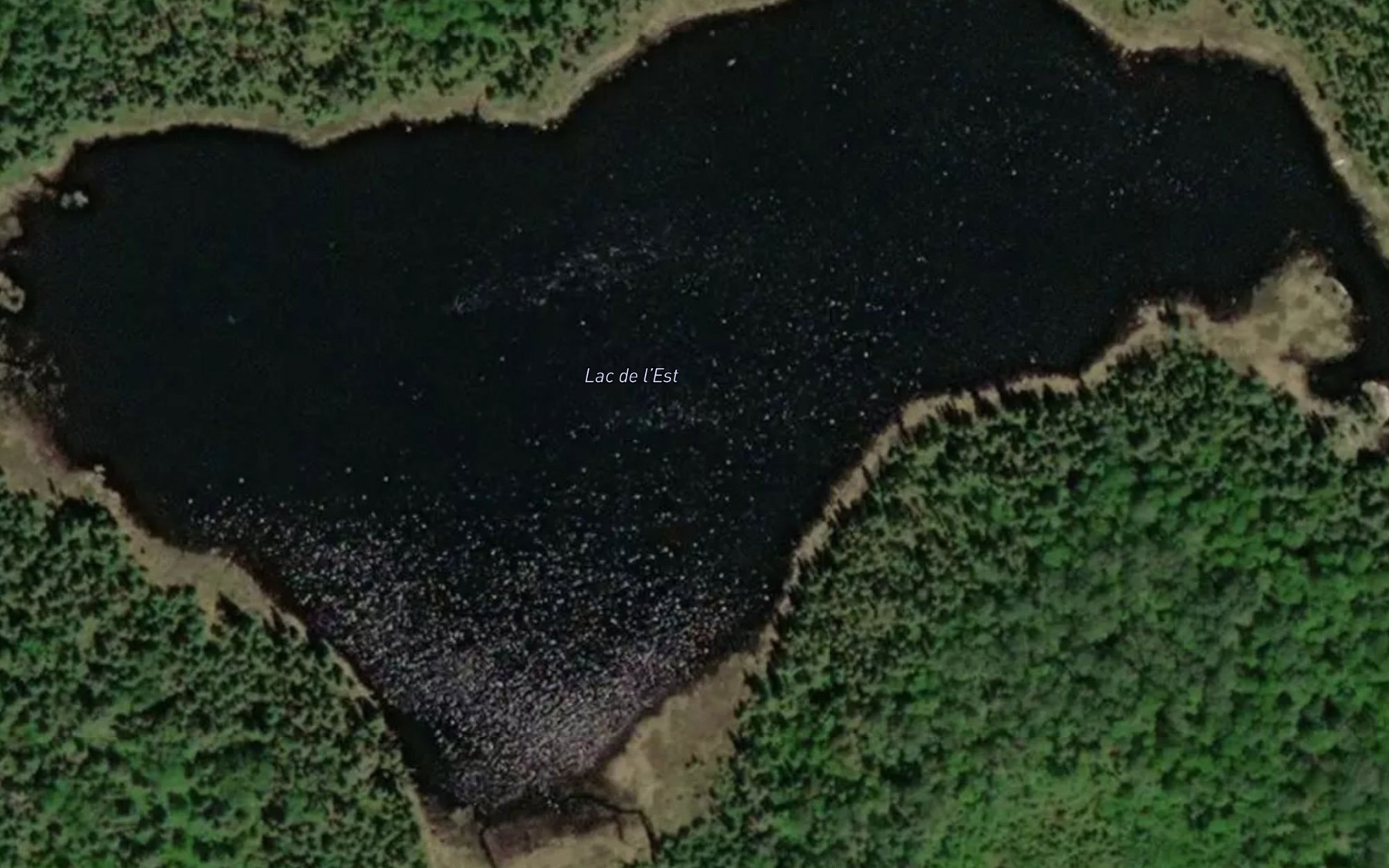 Satellite map of the Lac de l'Est