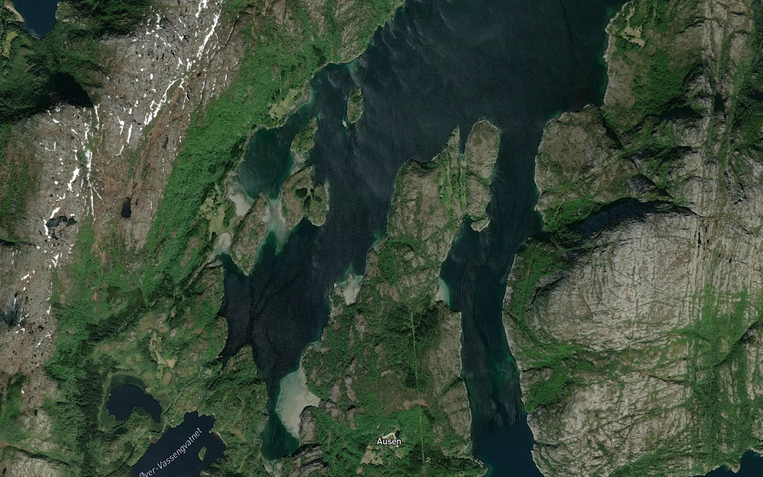 Jektvika