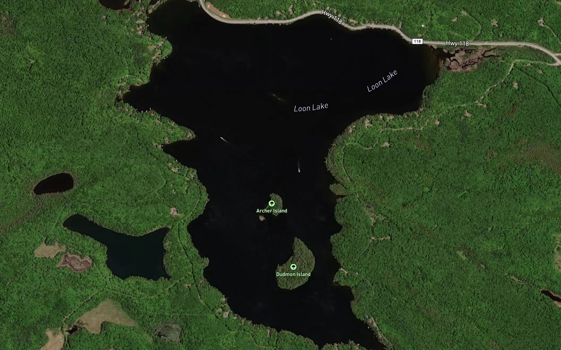 Satellite map of the Loon Lake