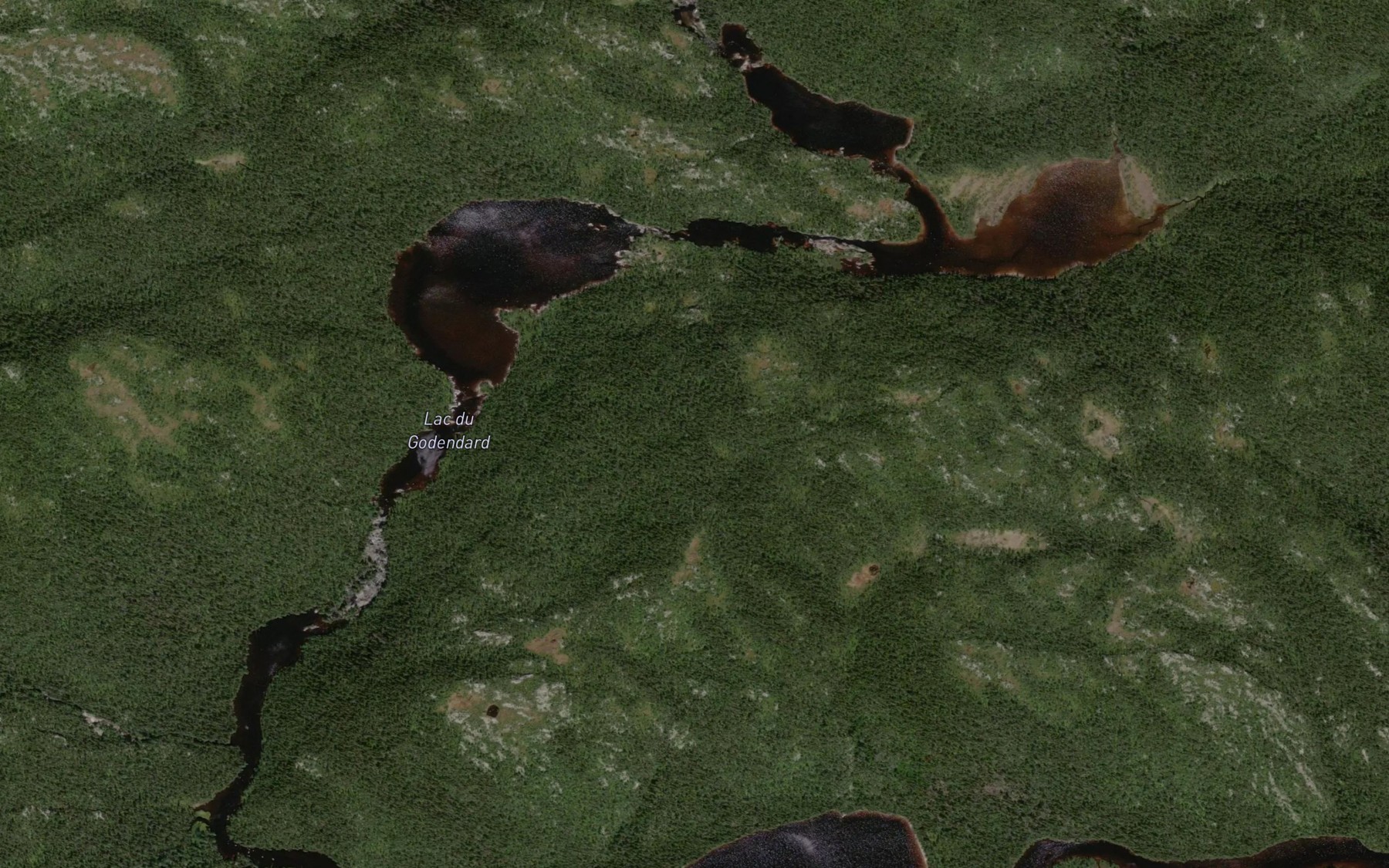 Satellite map of the Lac du Godendard