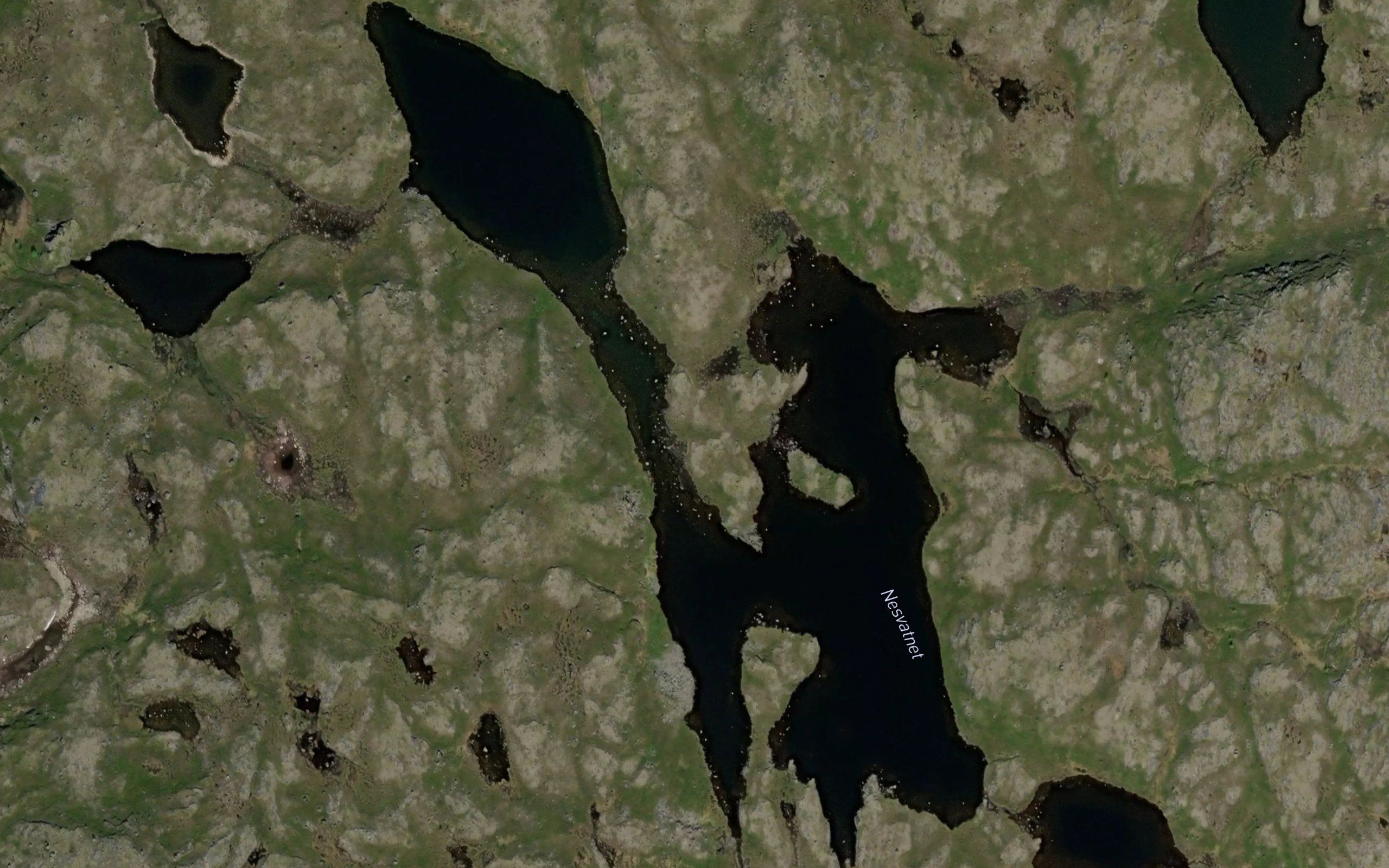 Njargajavri