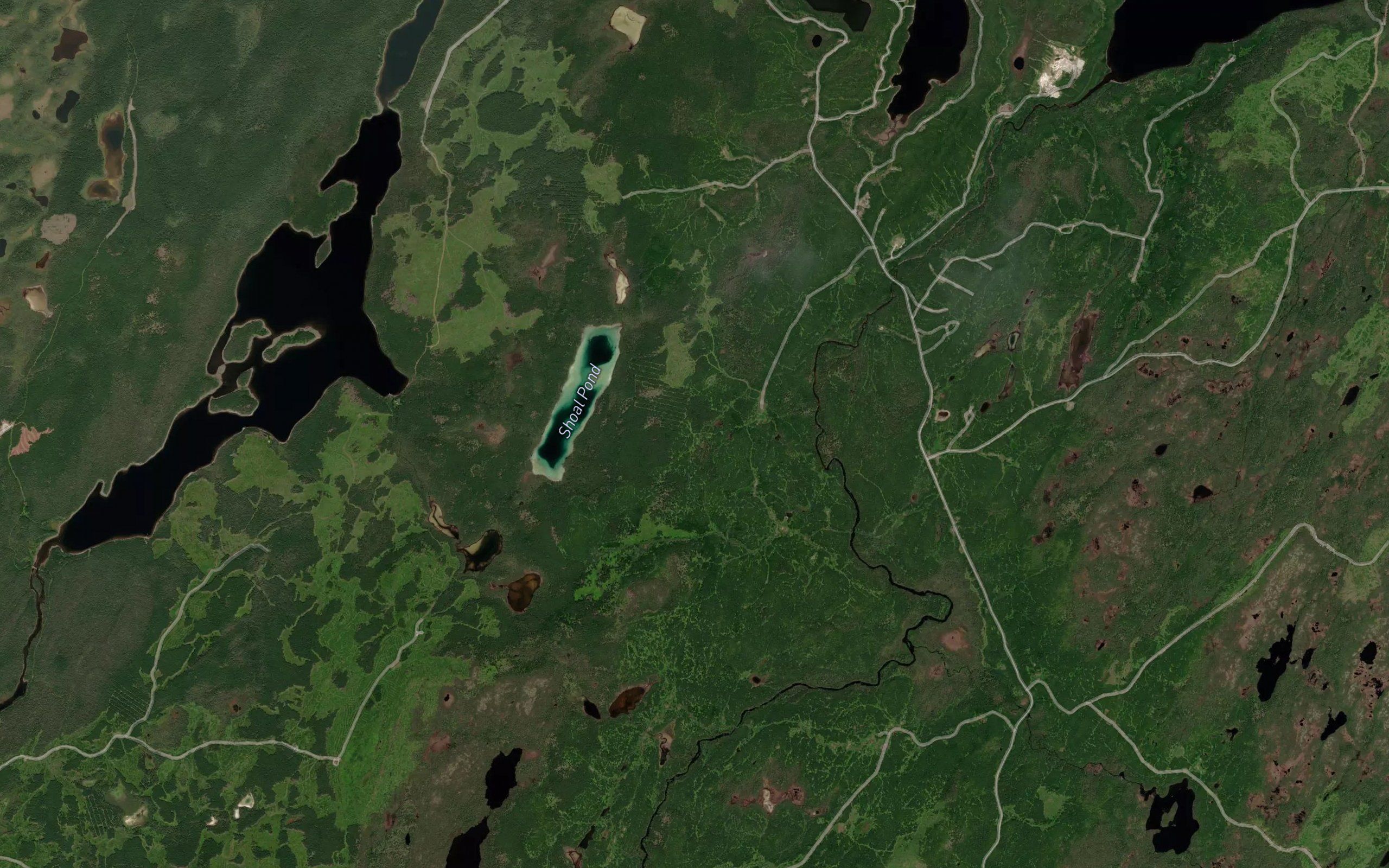 Shoal Pond