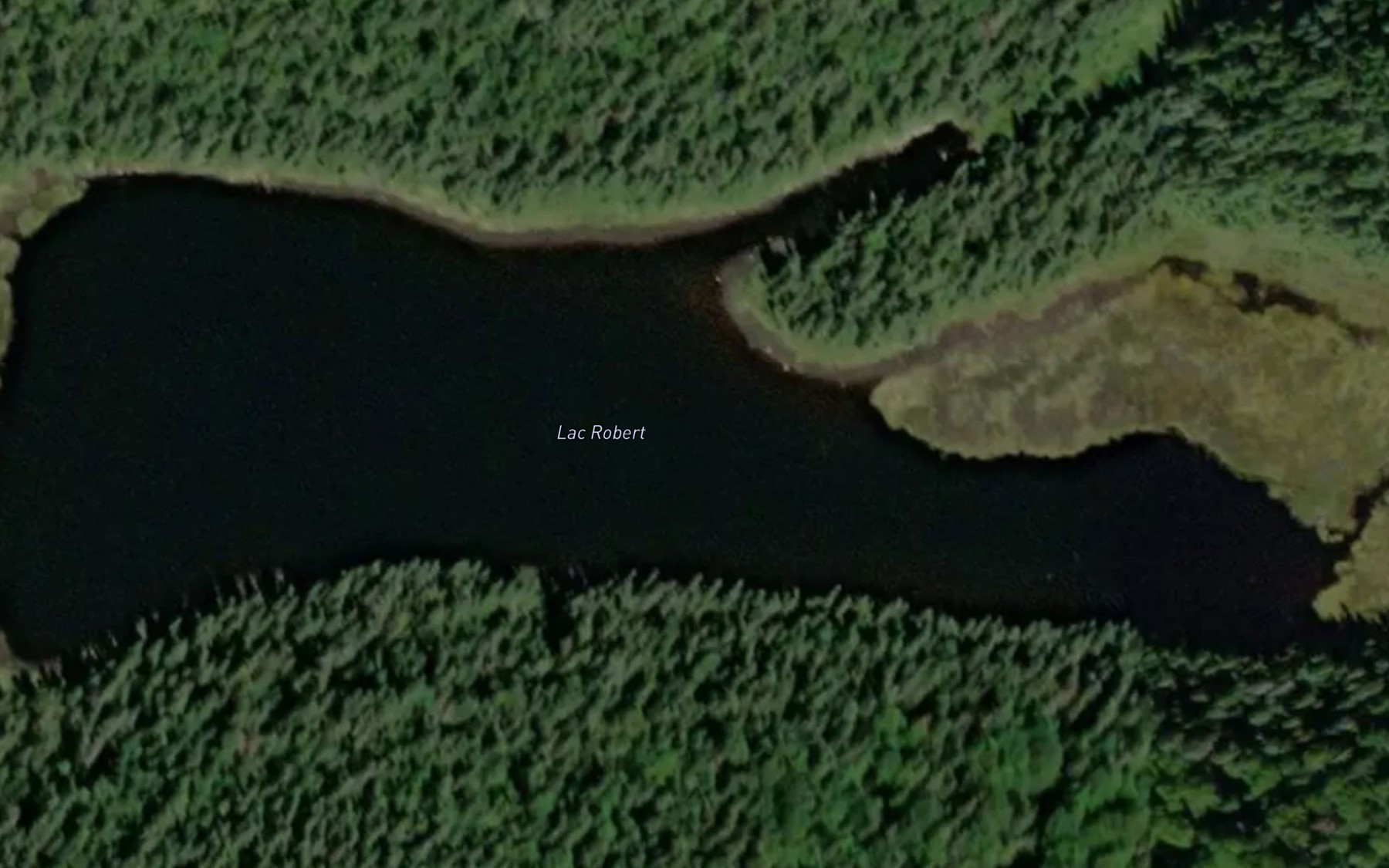 Satellite map of the Lac Robert
