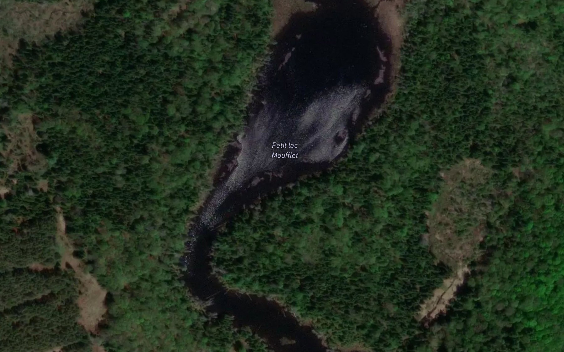 Satellite map of the Petit lac Moufflet