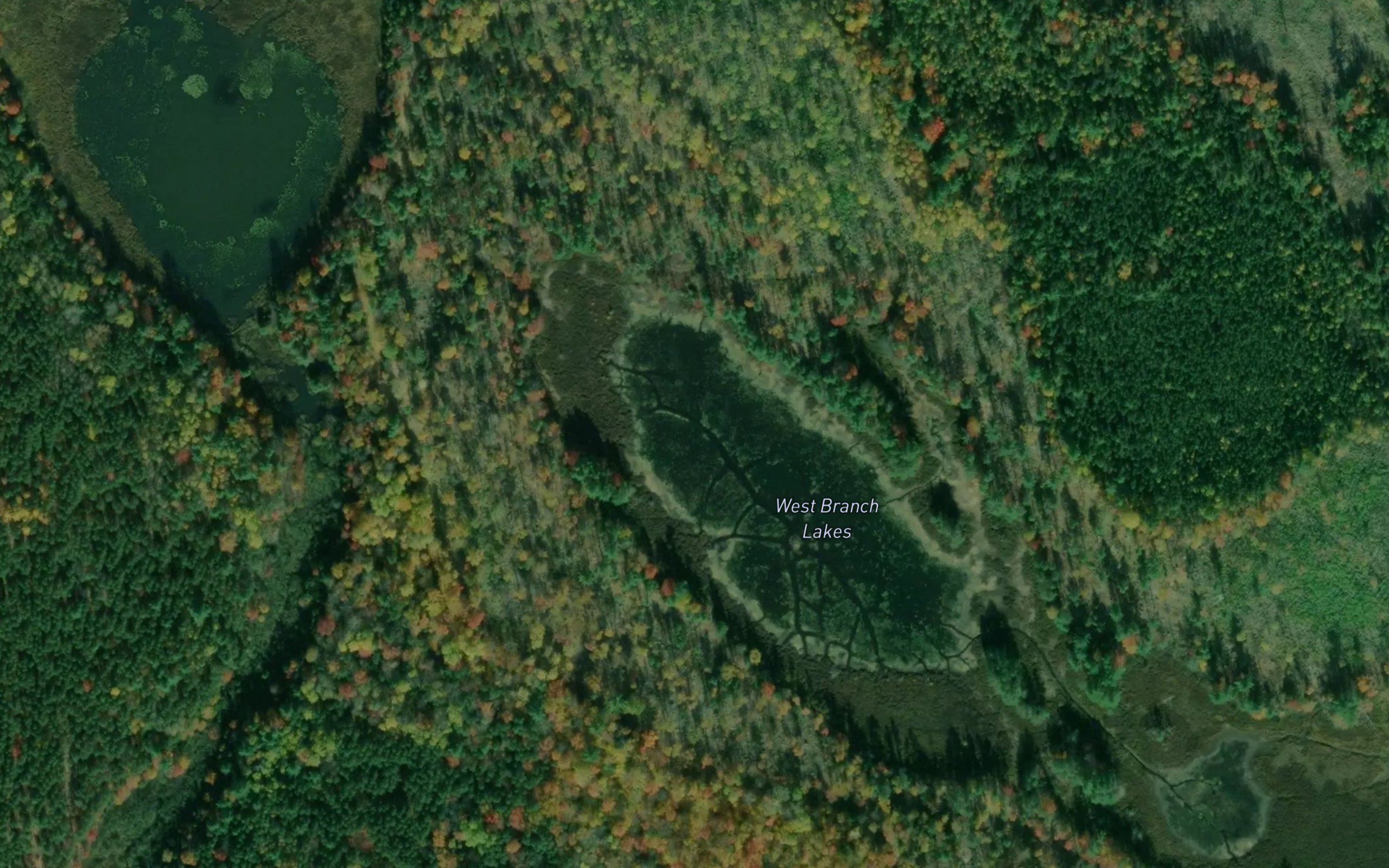 West Branch Lakes