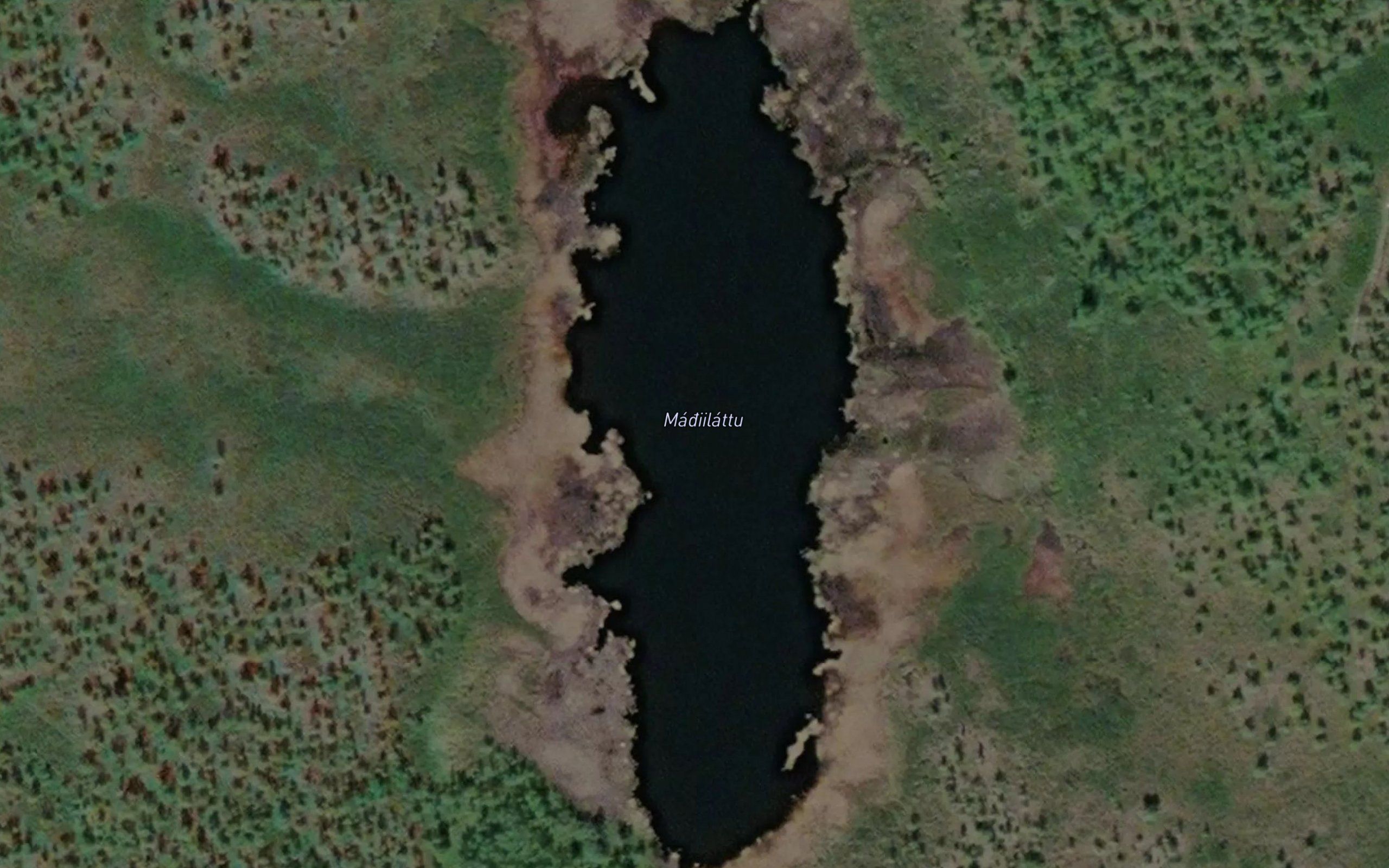Magiilattu